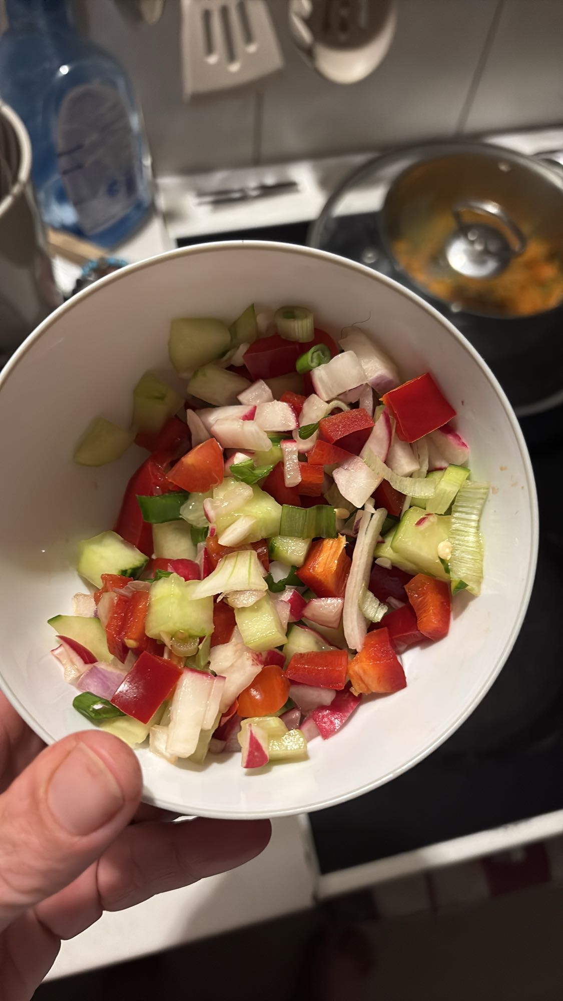 Gemischter Gemüsesalat