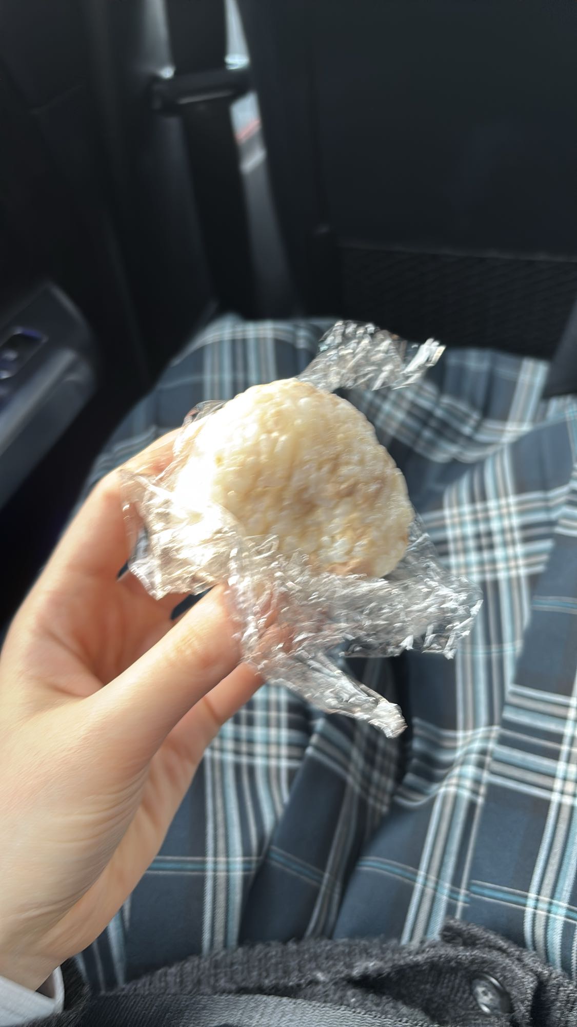 Plain Rice Ball