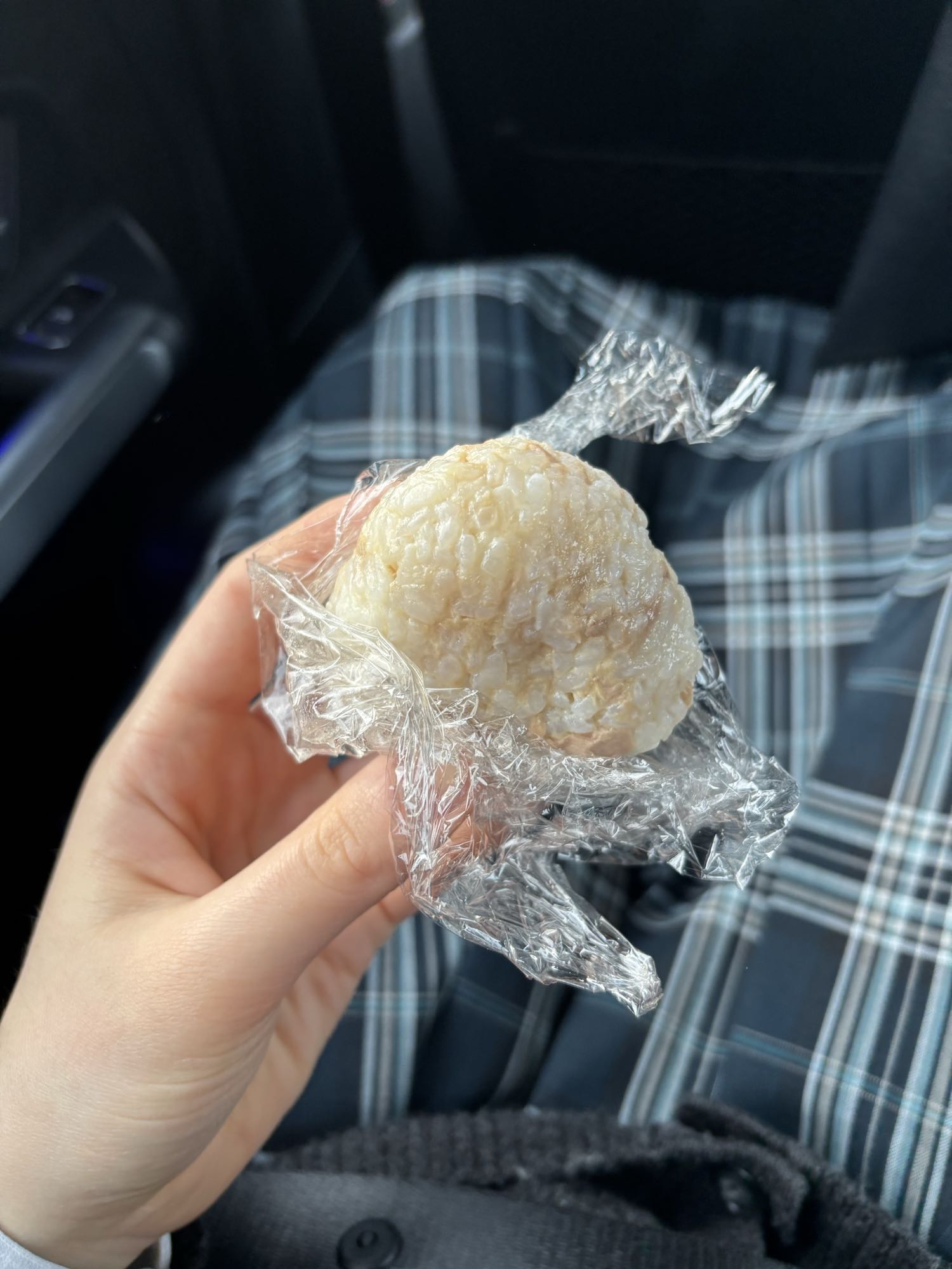 Sticky Rice Ball
