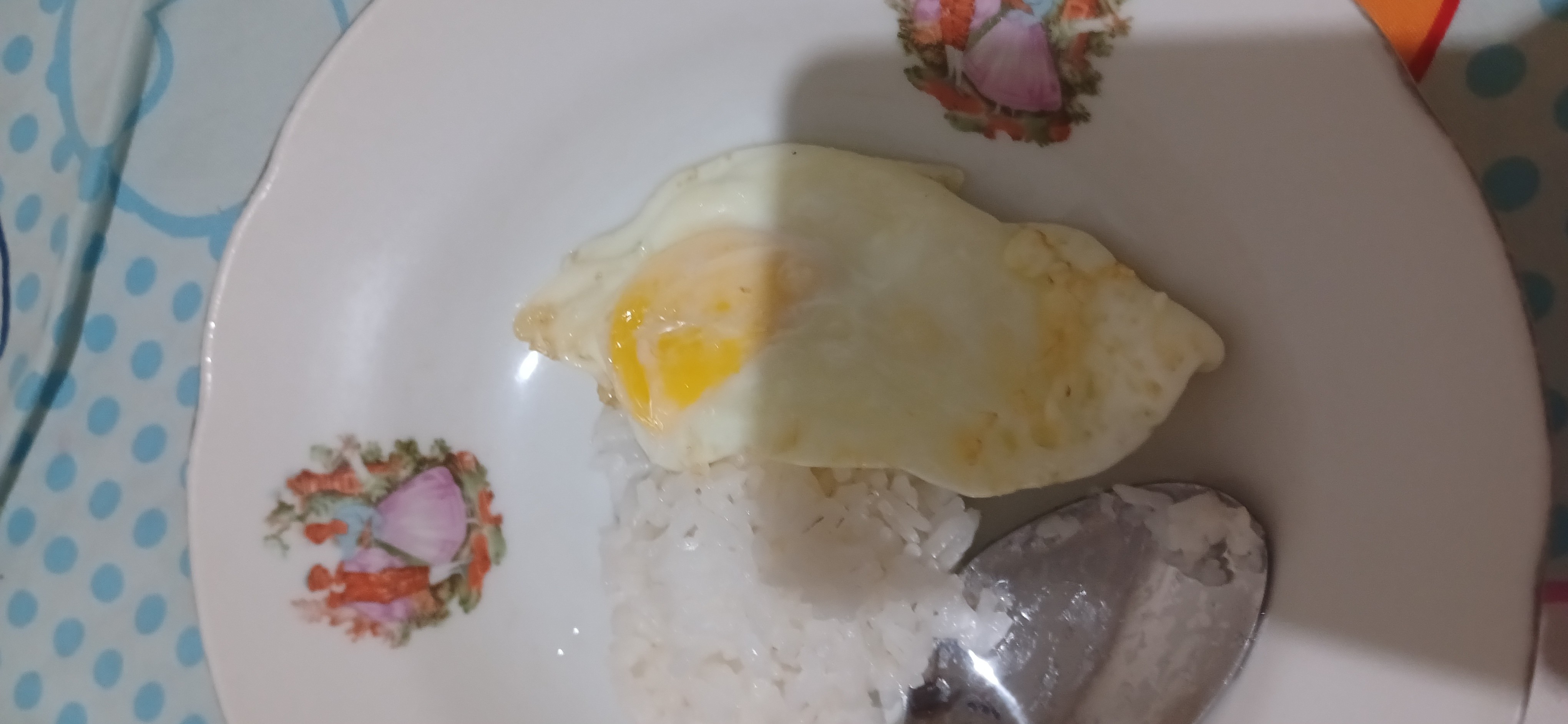 Fried Egg with White Rice