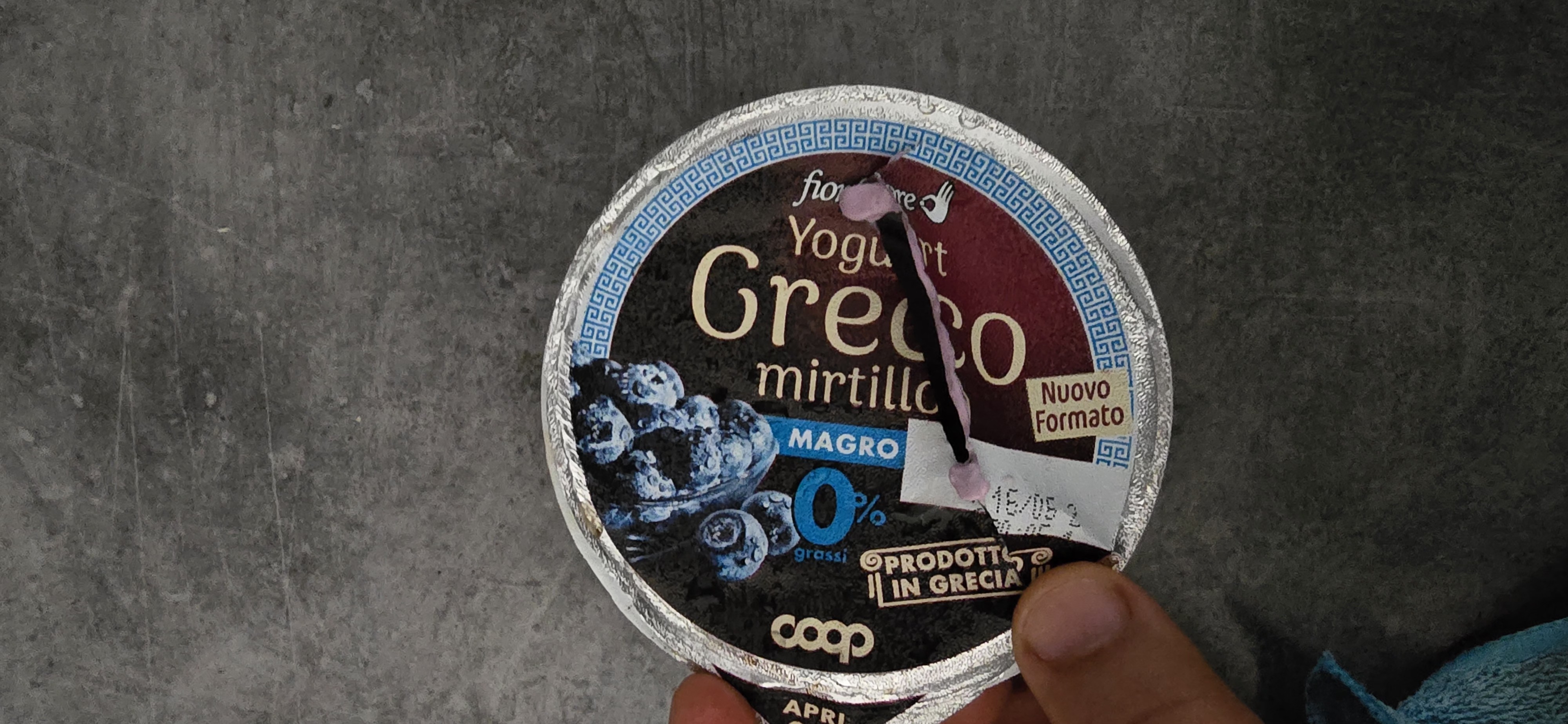 Blueberry Greek Yogurt