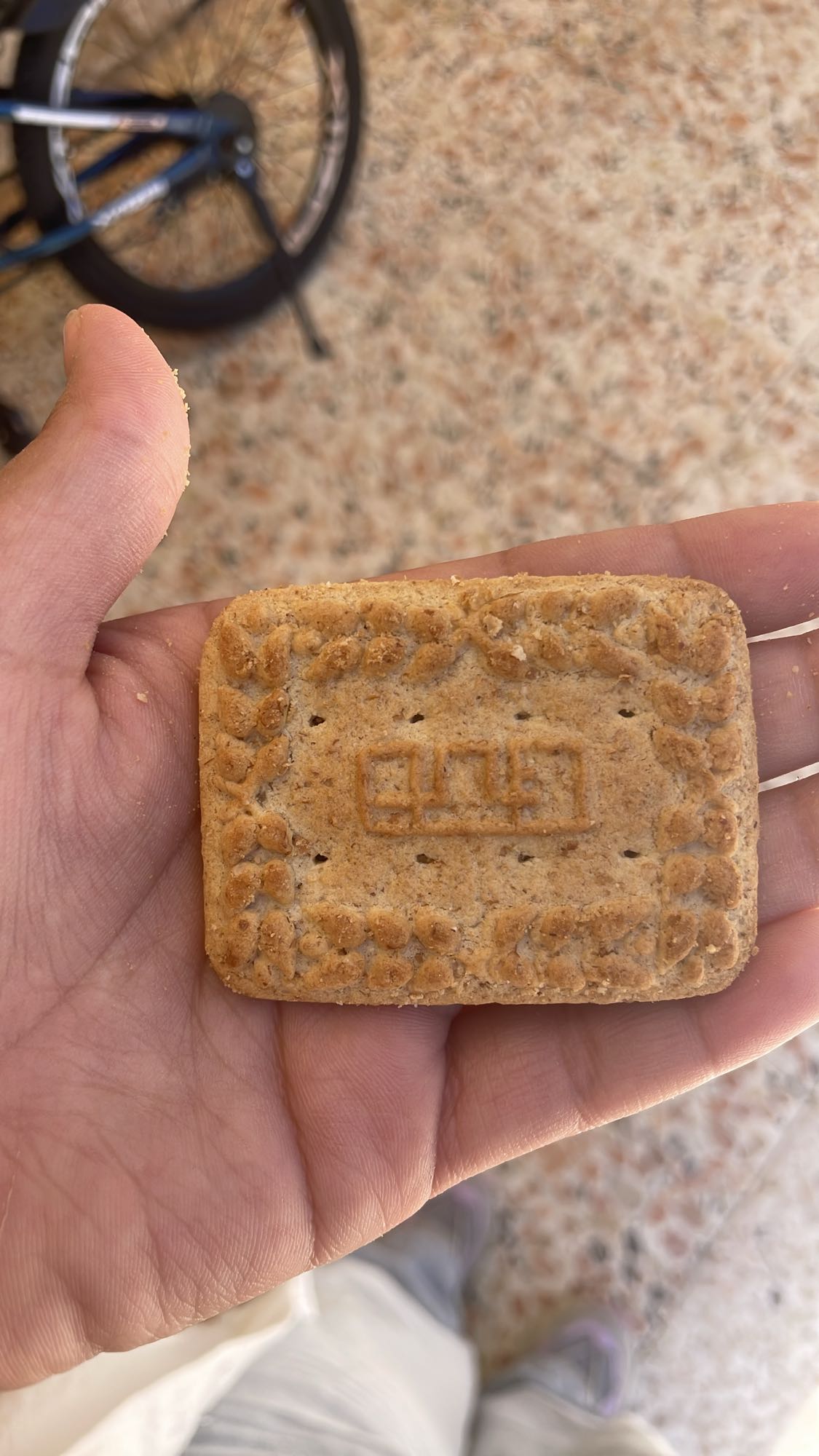 plain tea biscuit