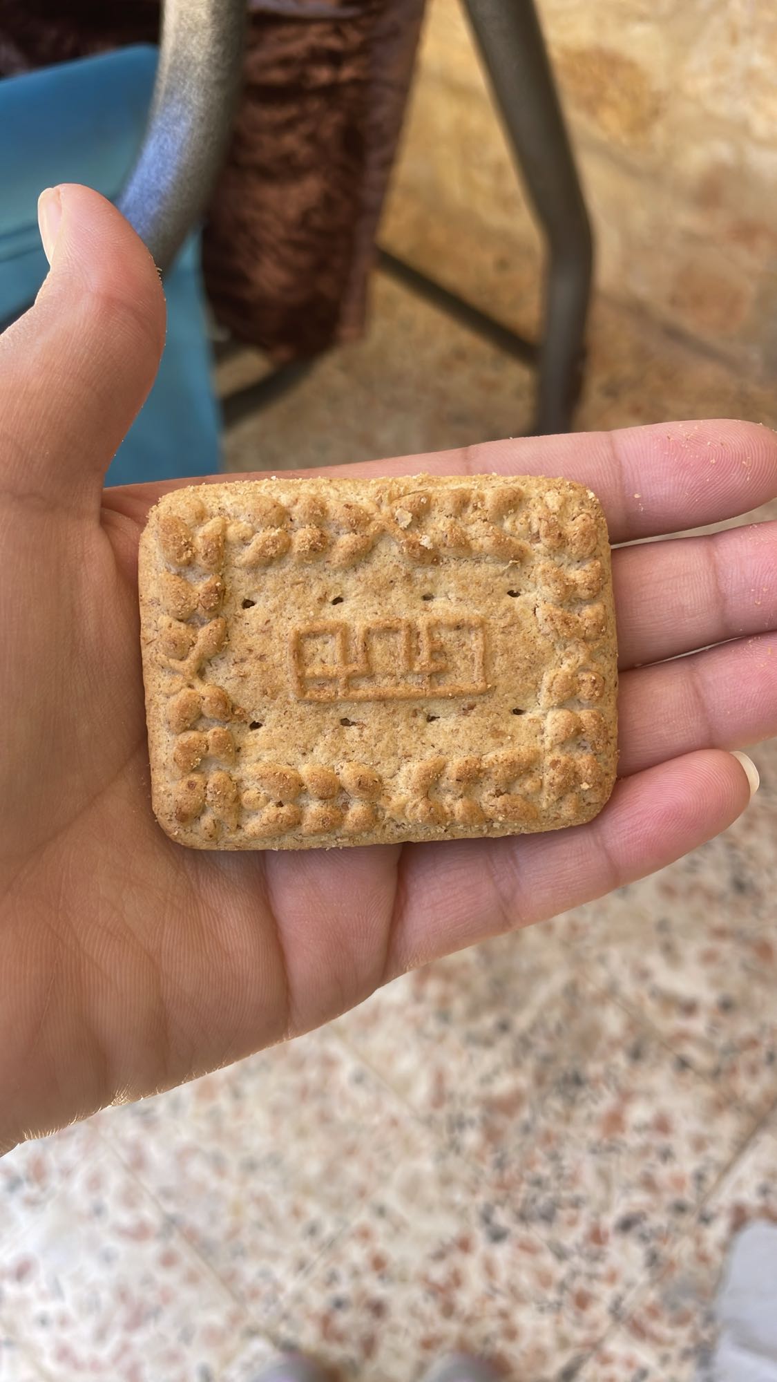 Plain tea biscuit