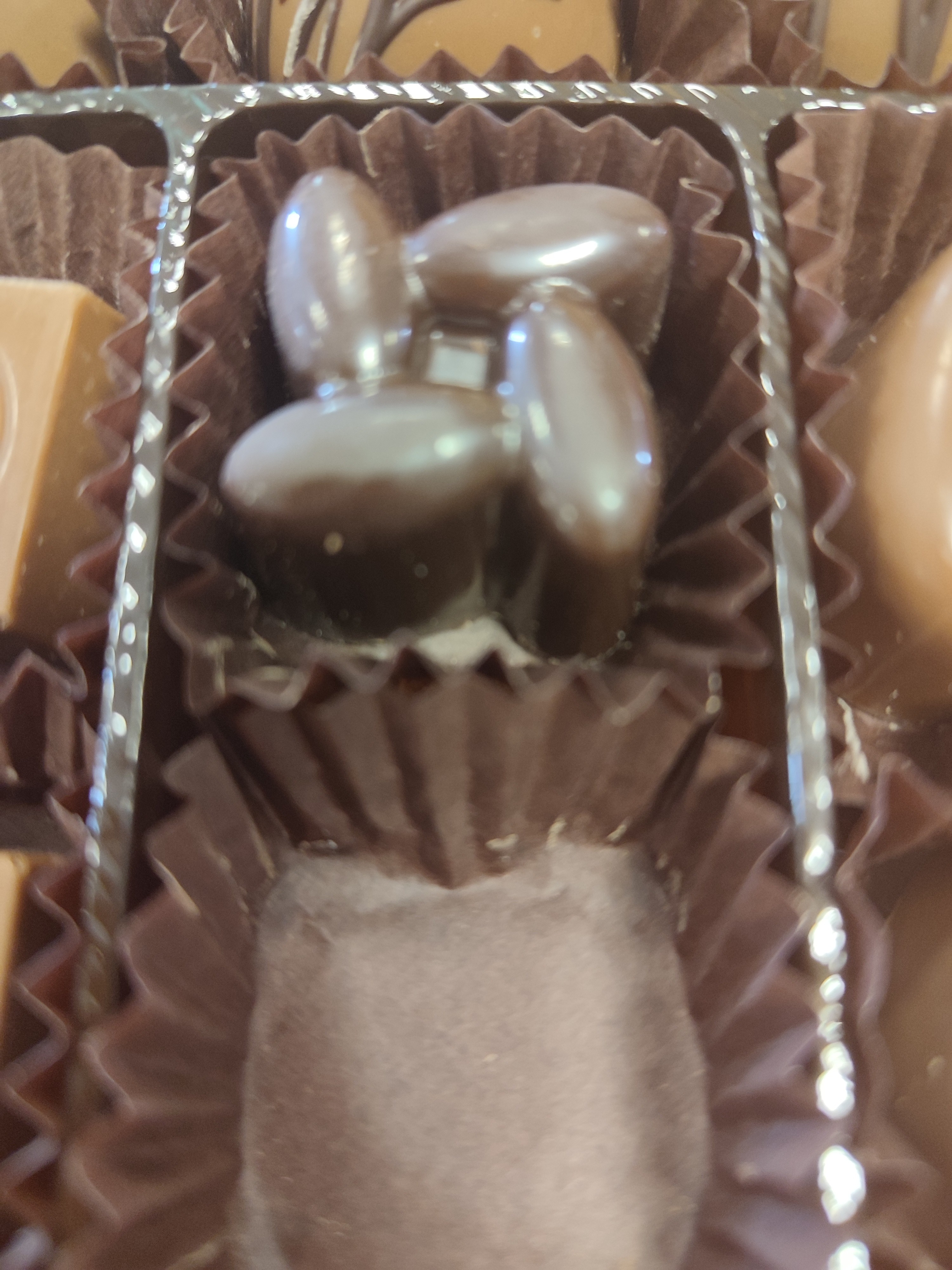 Chocolate Covered Almonds