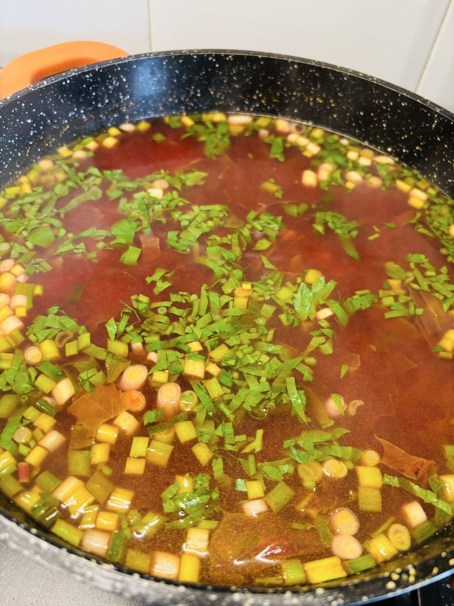 Vegetable Borsh Soup