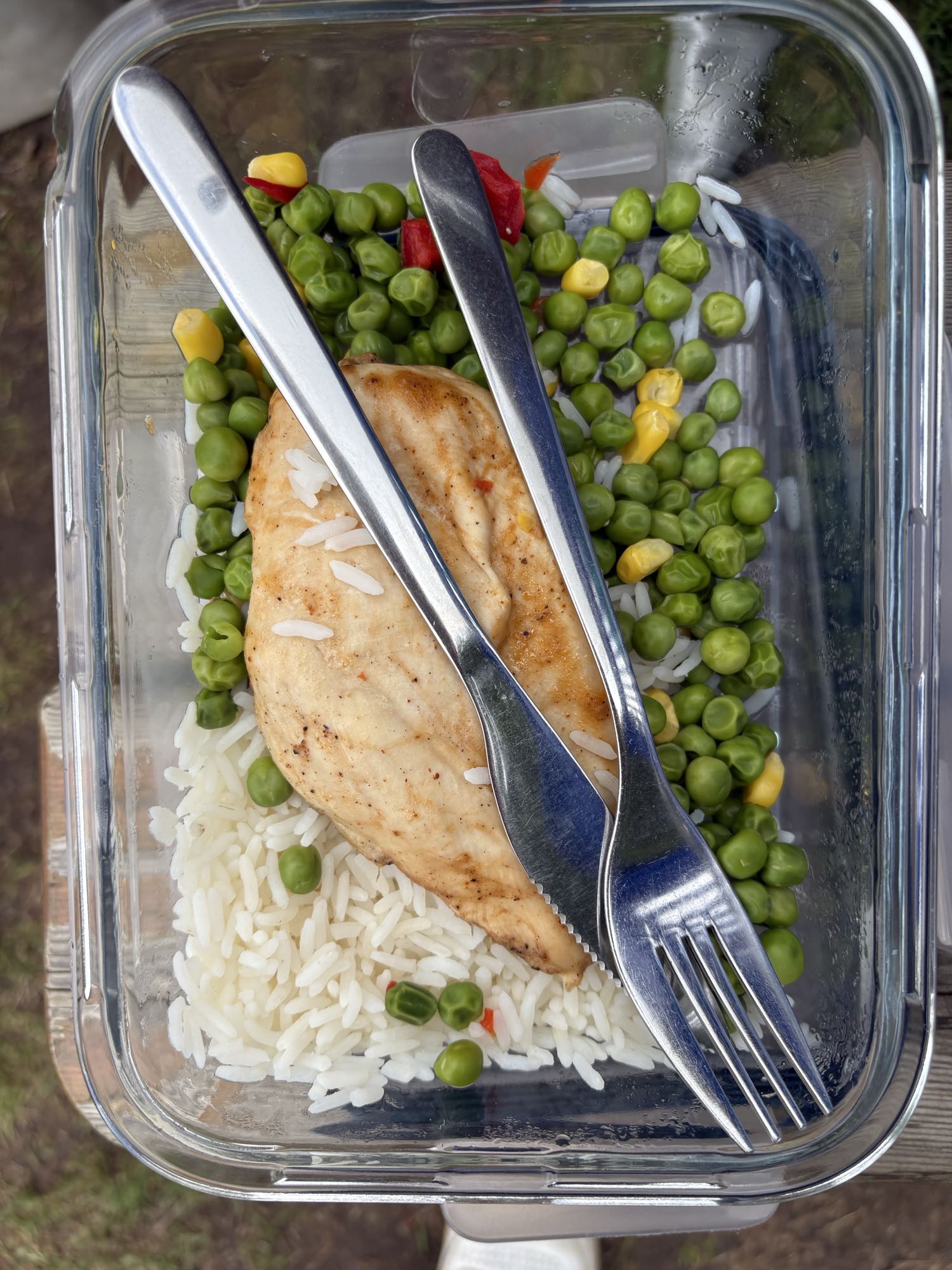 Kyckling med ris och ärtor