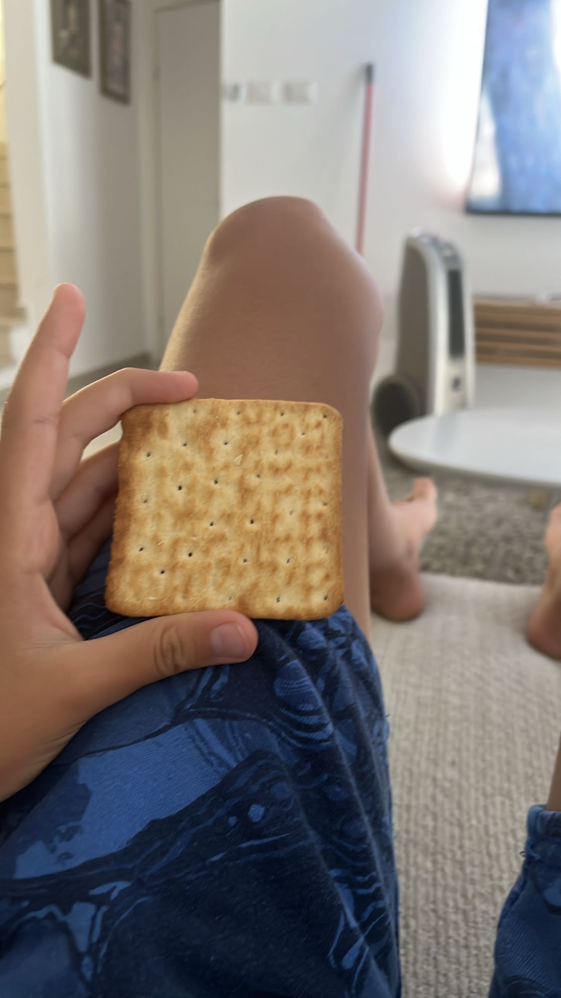 Plain cracker snack