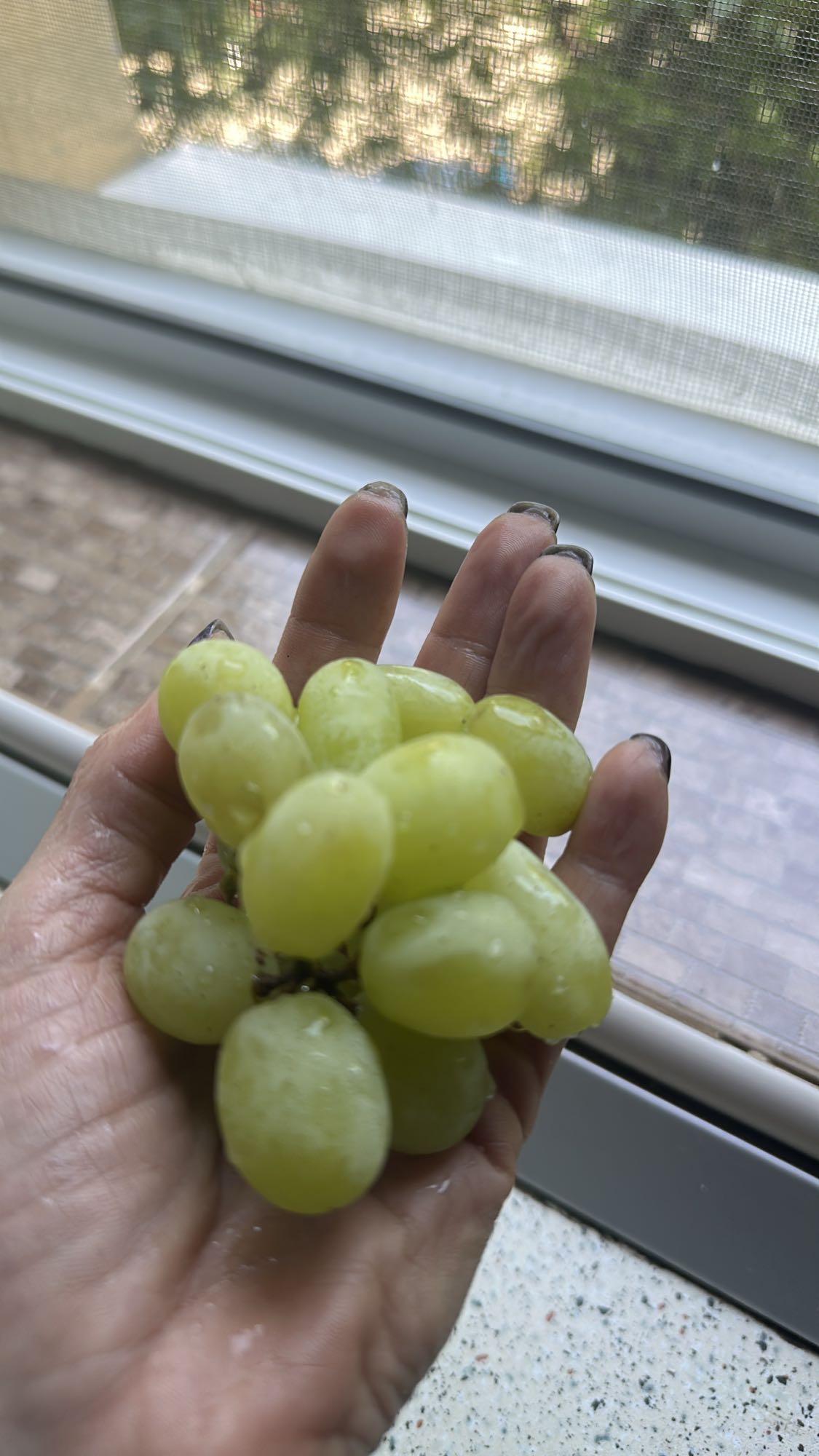 Struguri verzi proaspeți