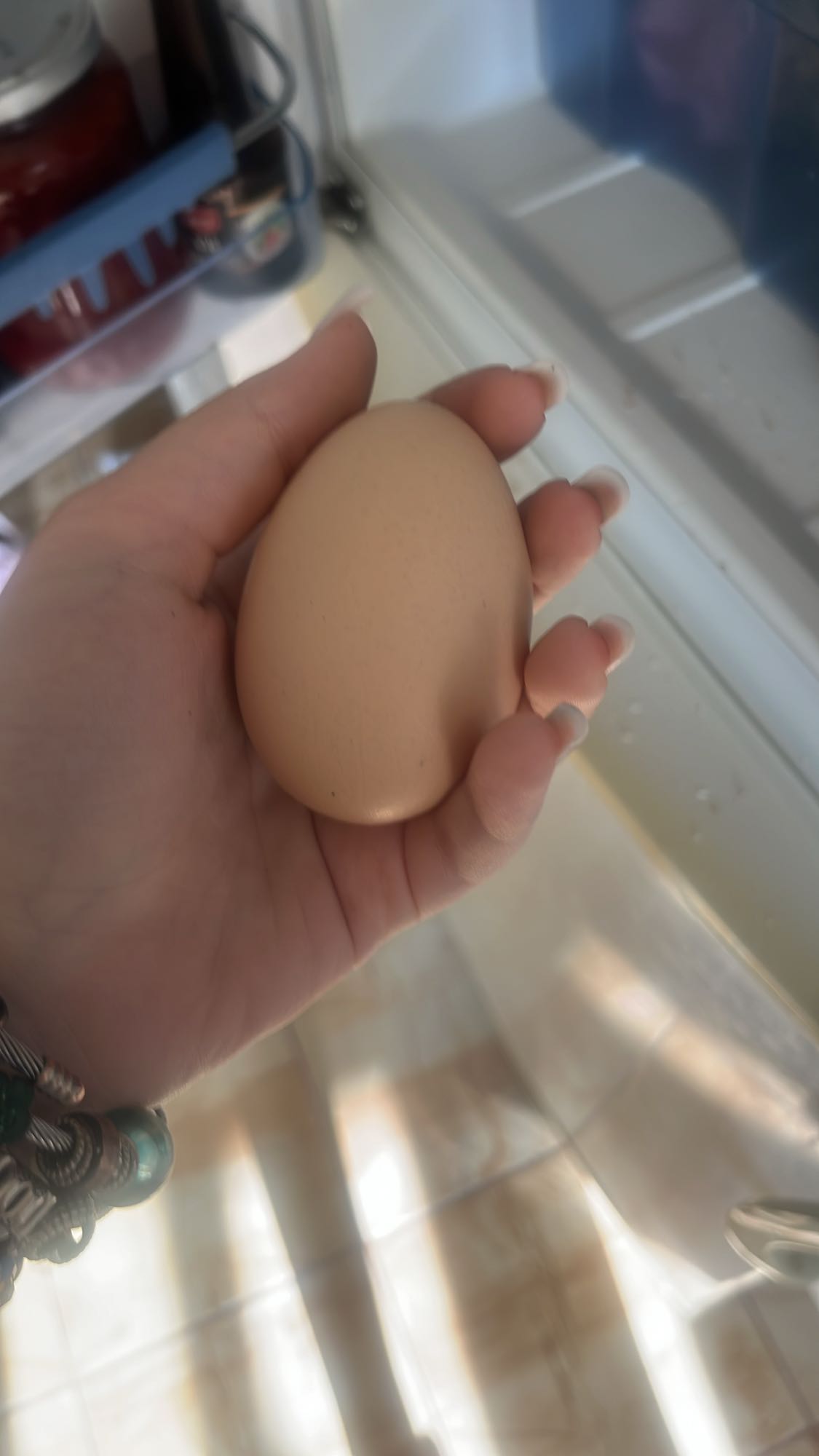 Whole Egg