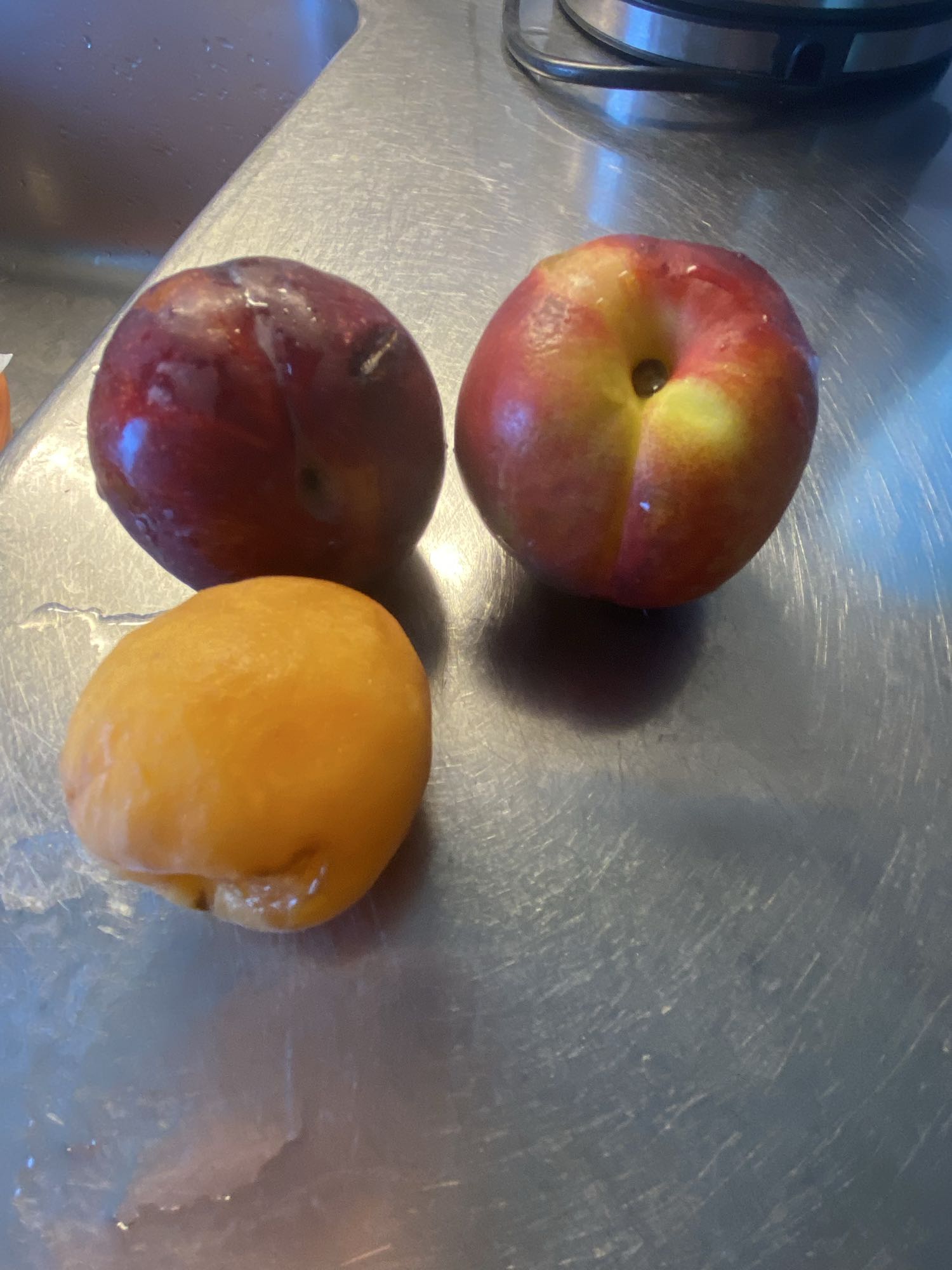 فاكهة صيفية طازجة