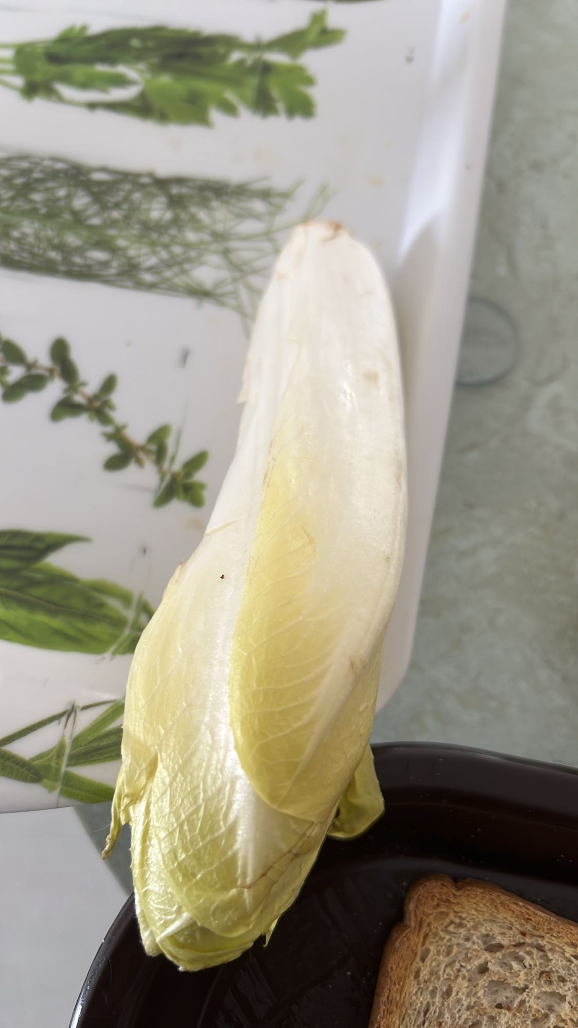 Endive fraîche