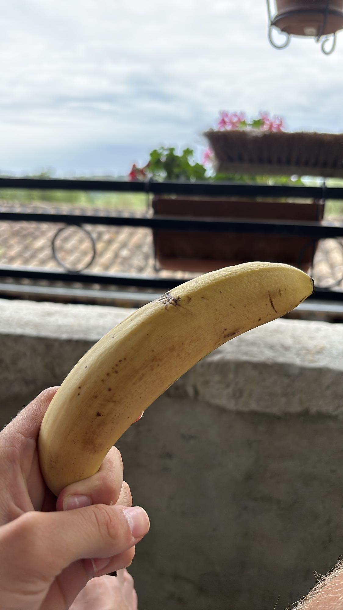 Banane fraîche