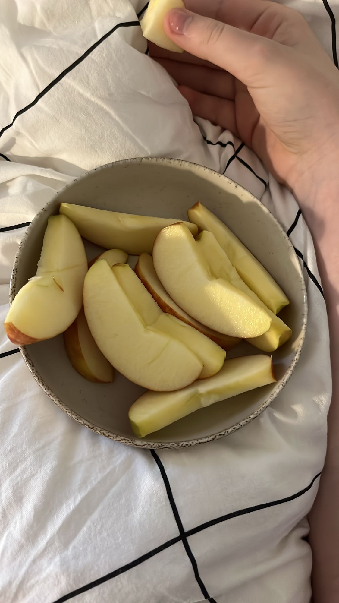 Sliced Apple Bowl