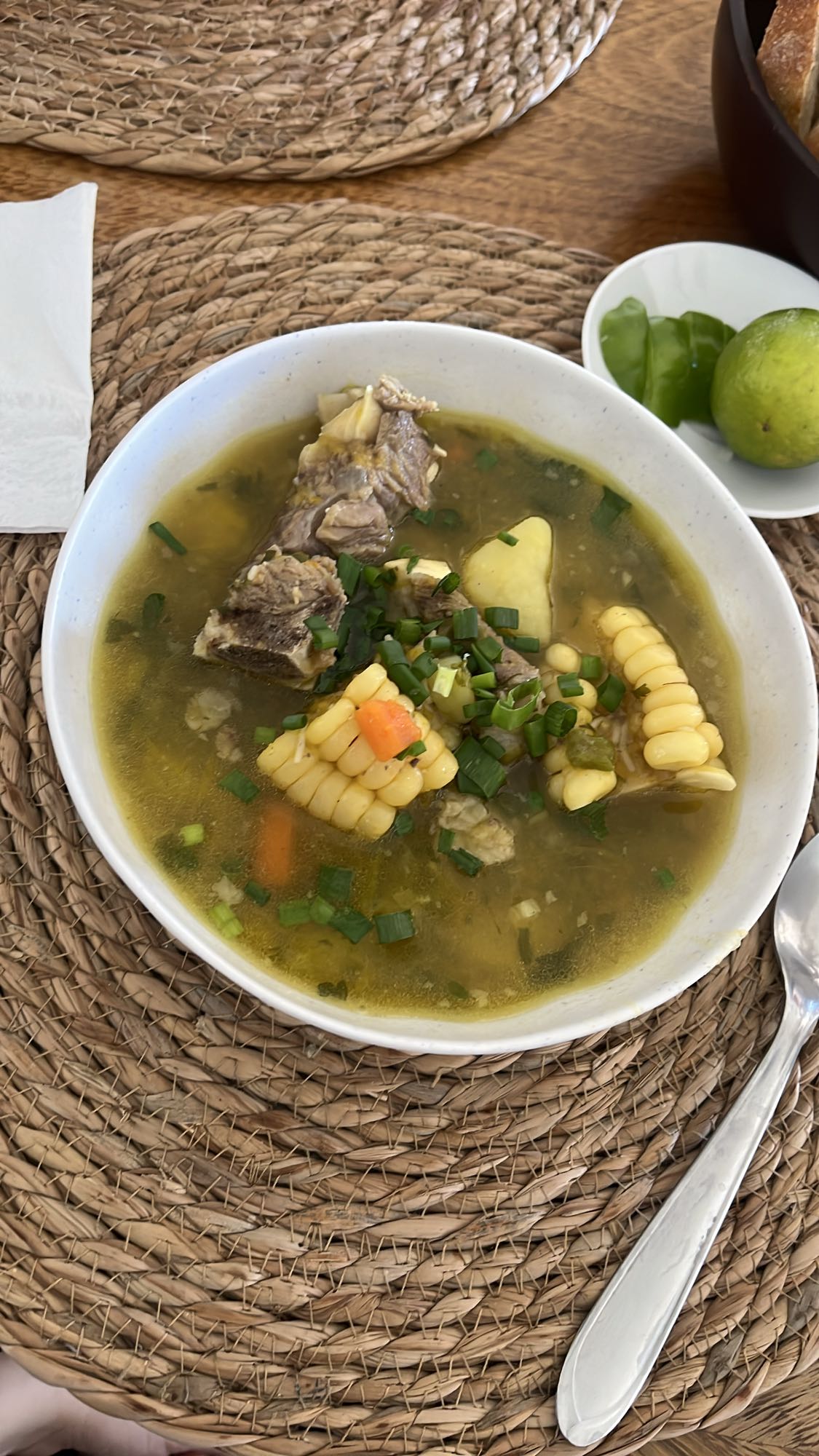 Sopa de res con verduras