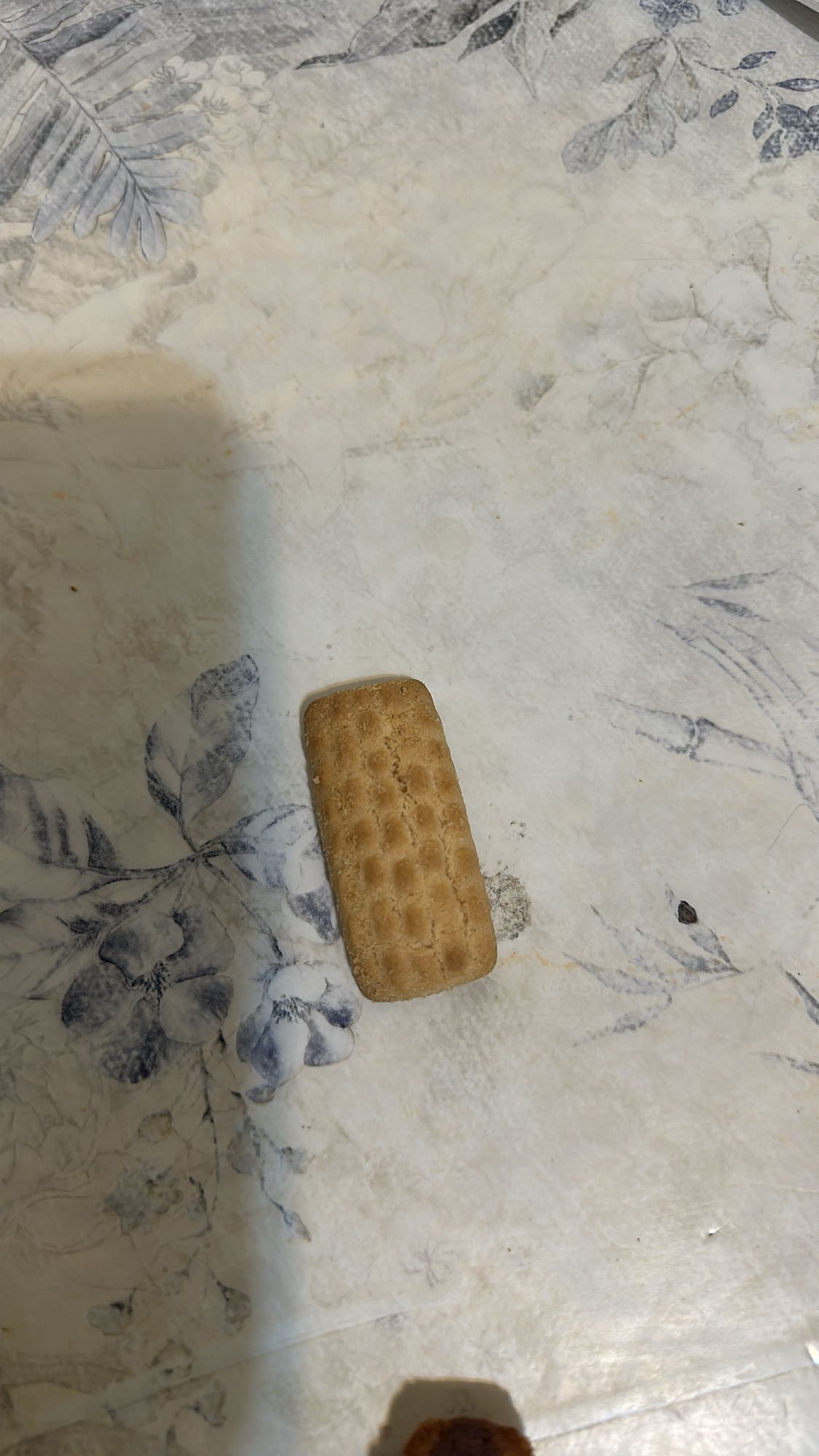 Plain tea biscuit