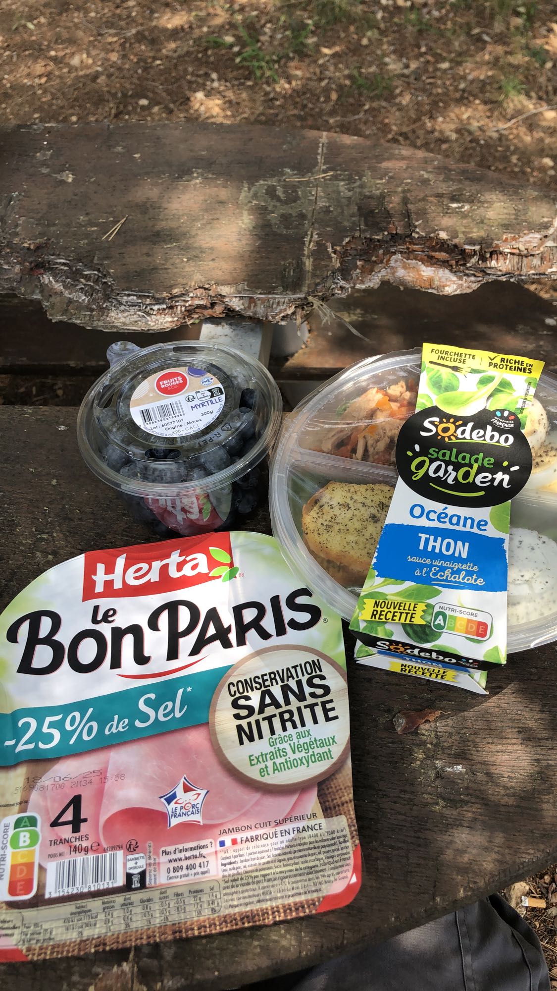 Déjeuner pique-nique