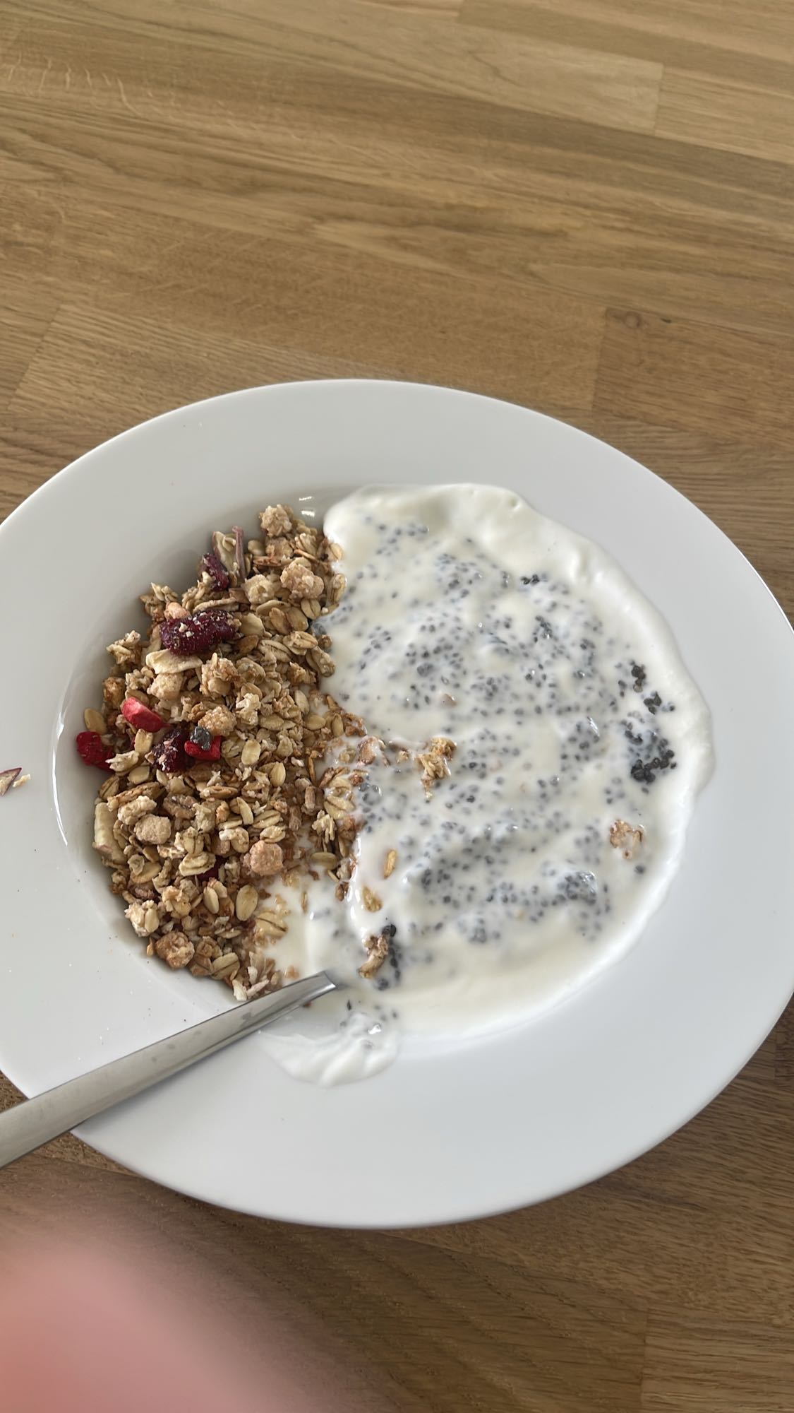 زبادي مع جرانولا وشيا