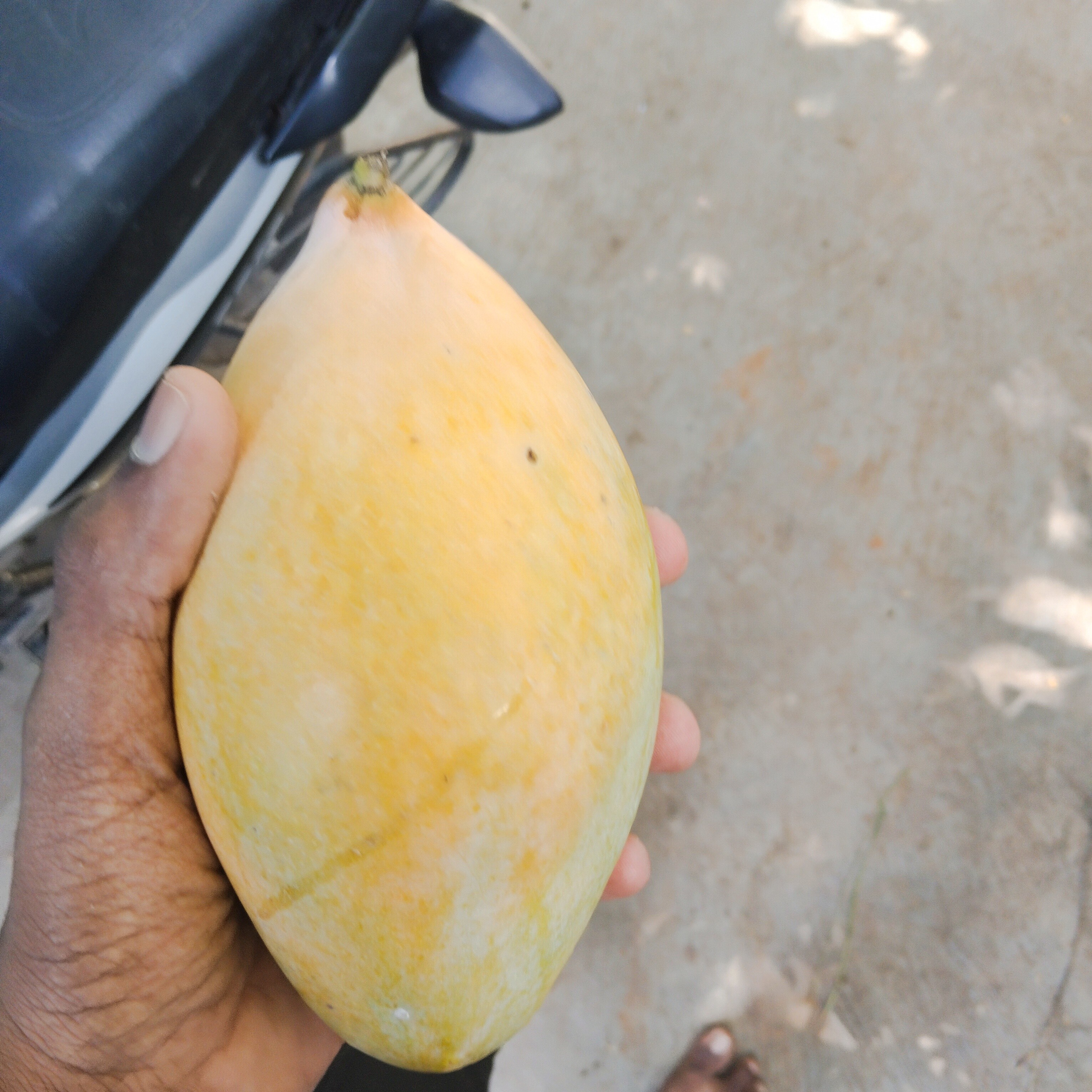 Fresh Mango