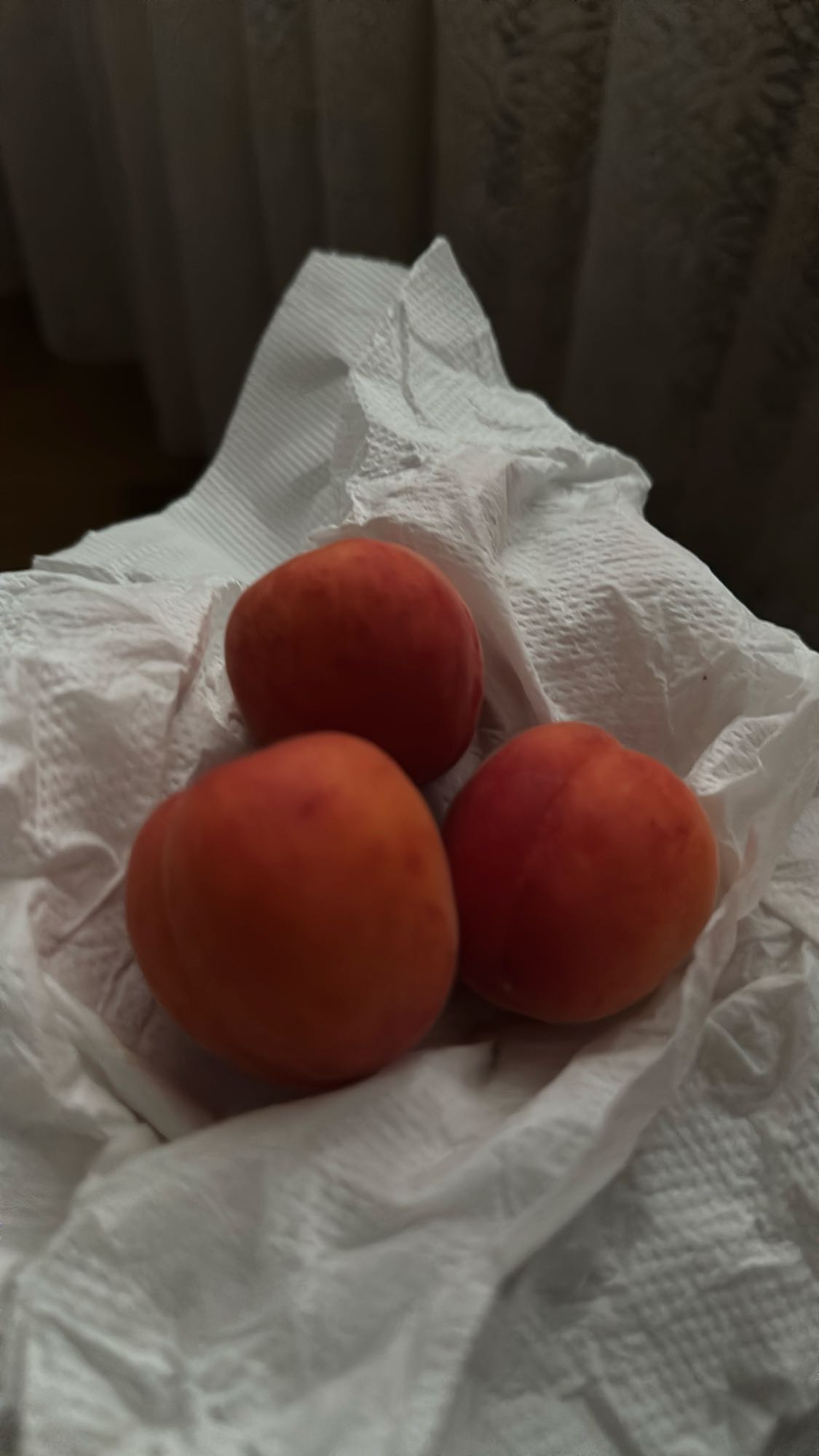 Three Apricots