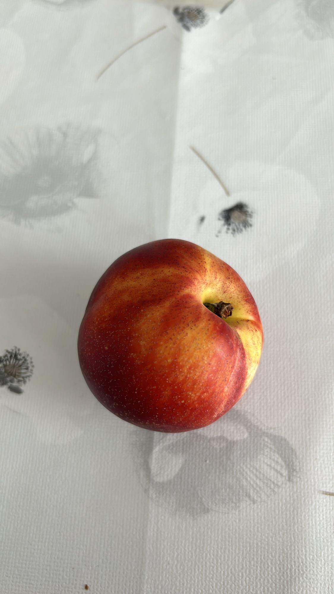 Nectarine Snack