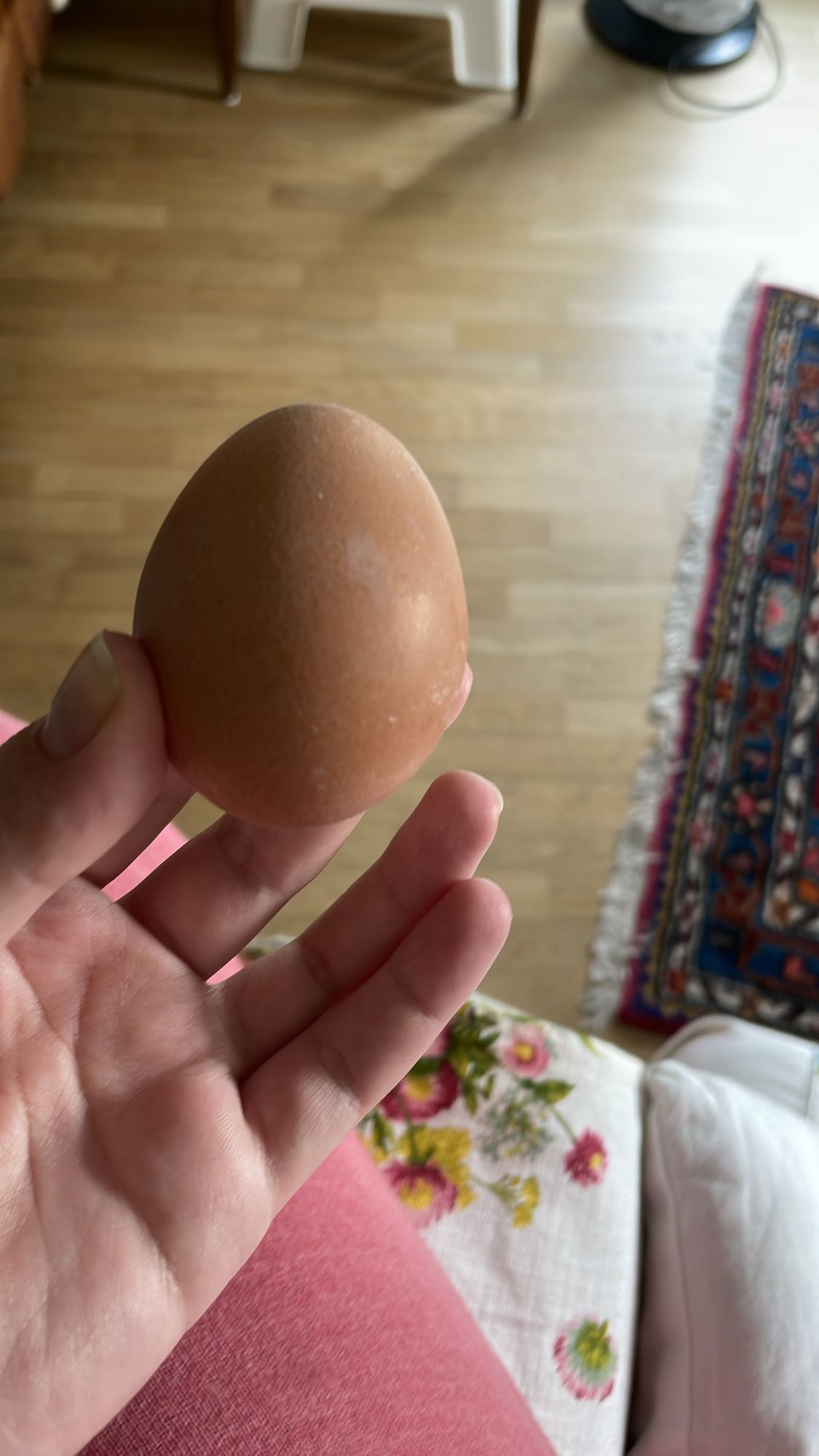 Boiled Egg