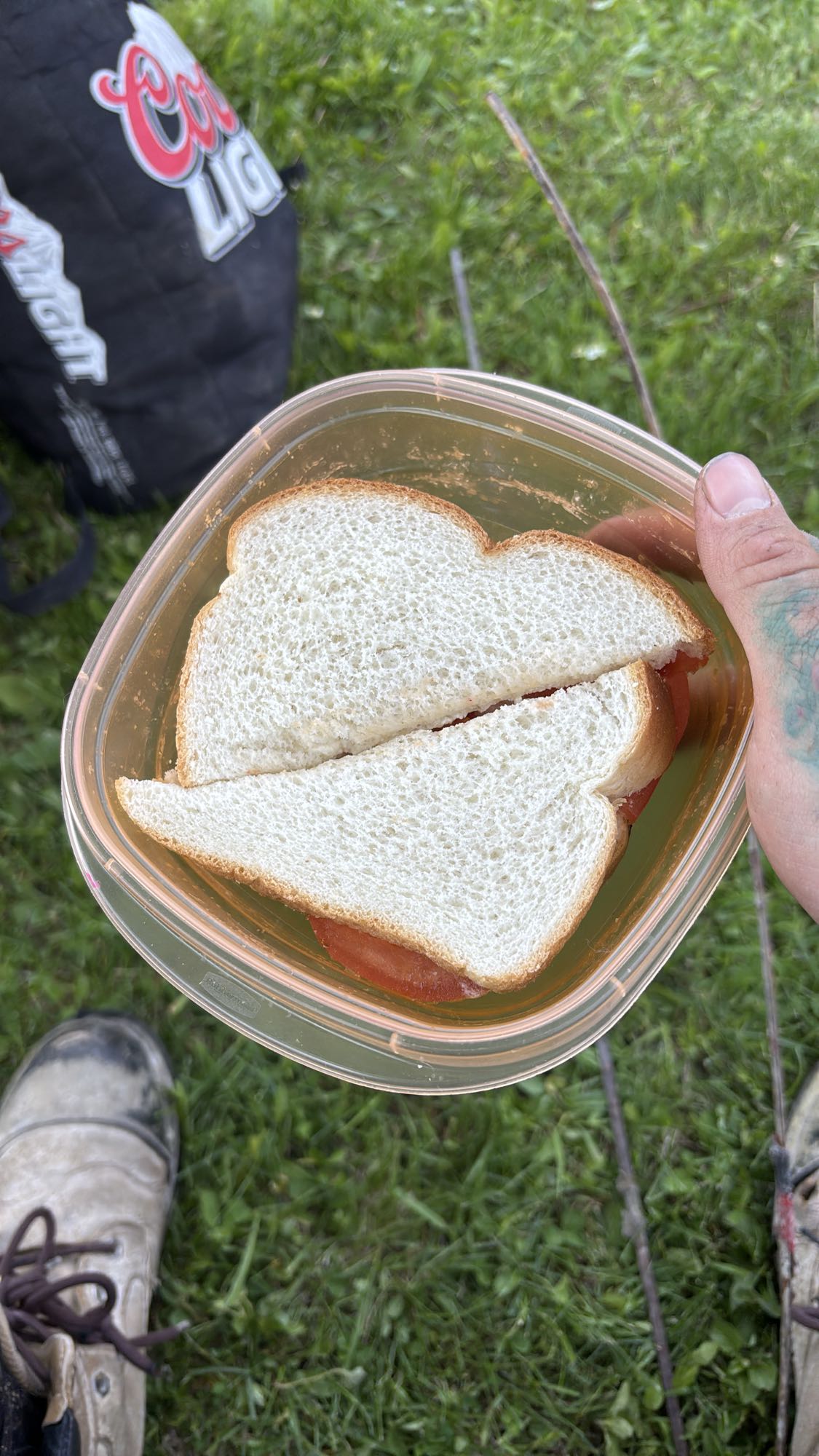 Sandwich tomate pain blanc