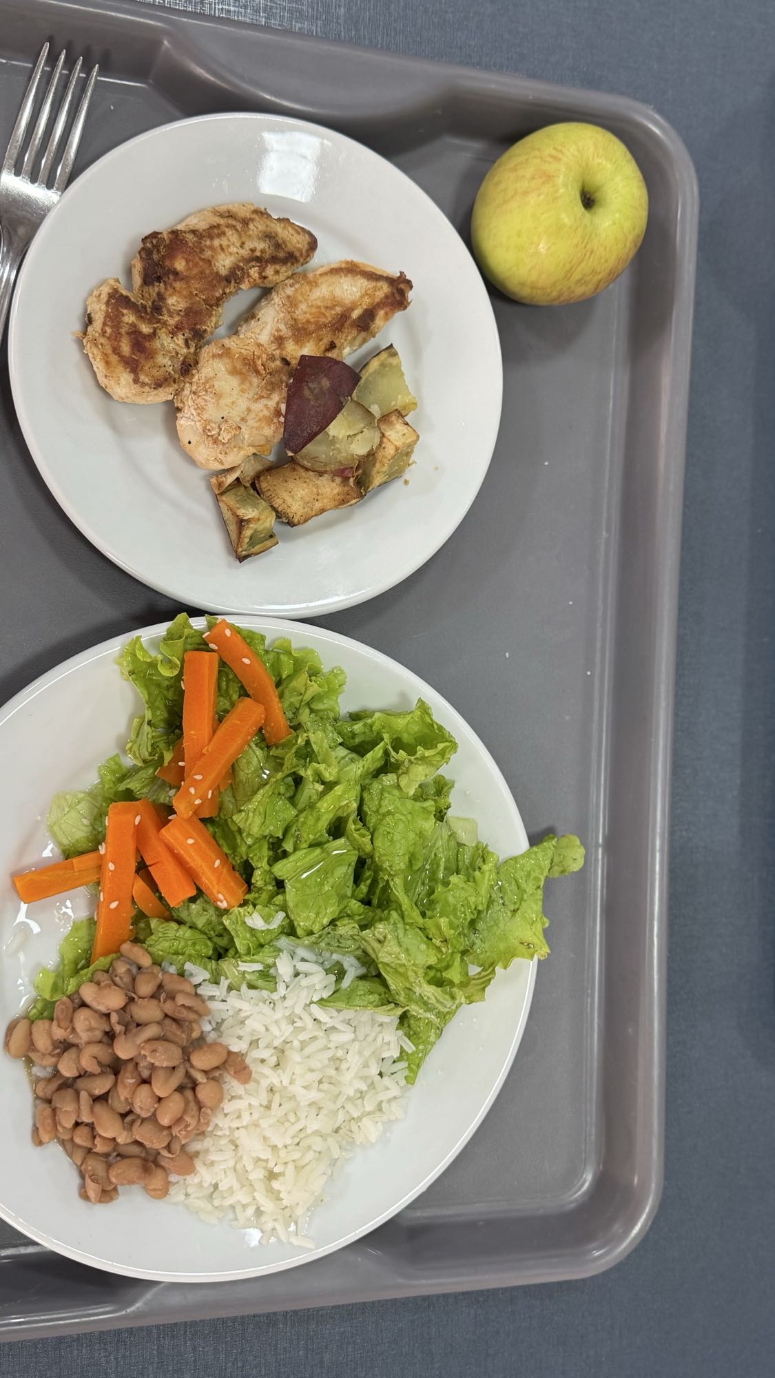 Frango com arroz e salada