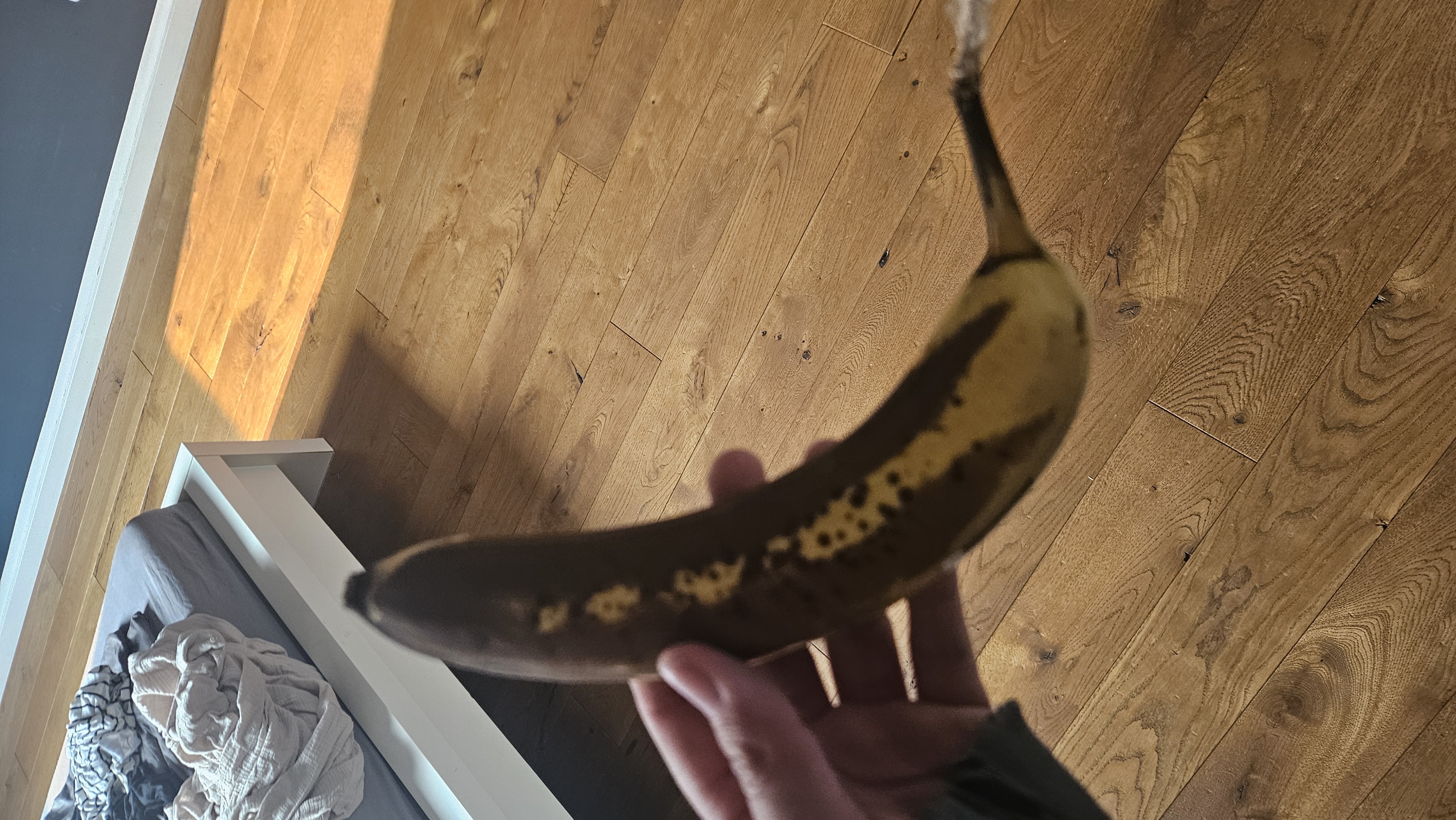 Banaan