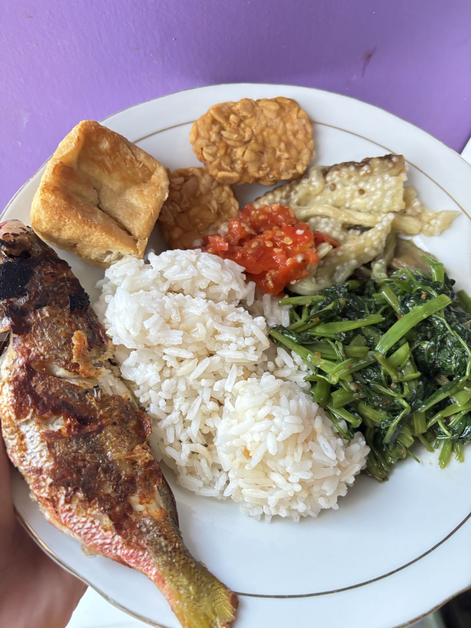Nasi, ikan, tempe, tahu