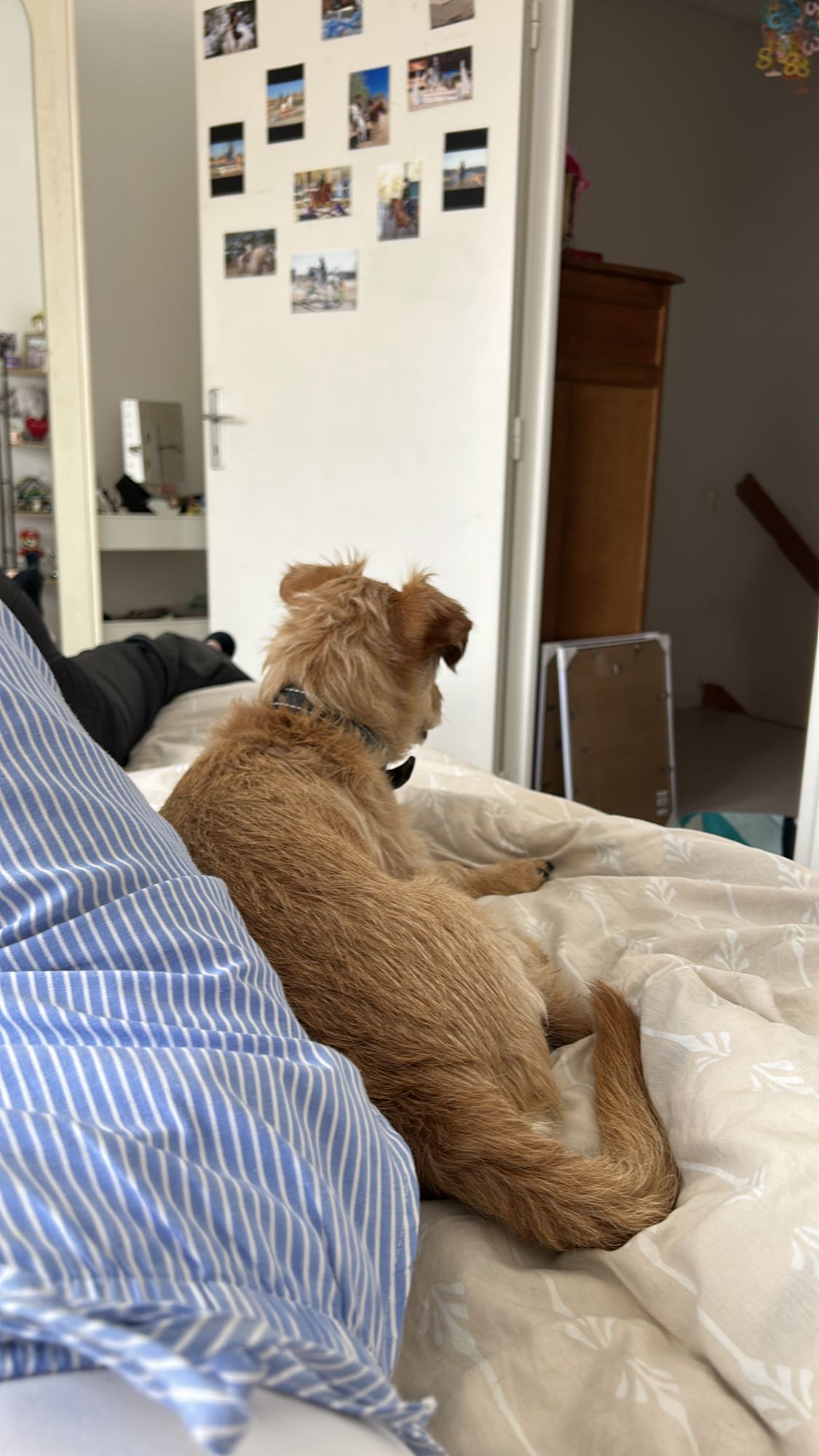 aucune nourriture visible