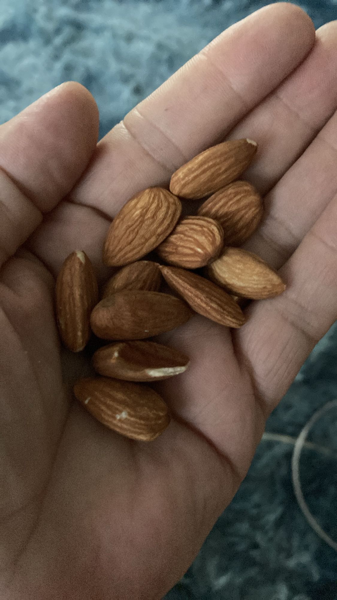 Mână de migdale