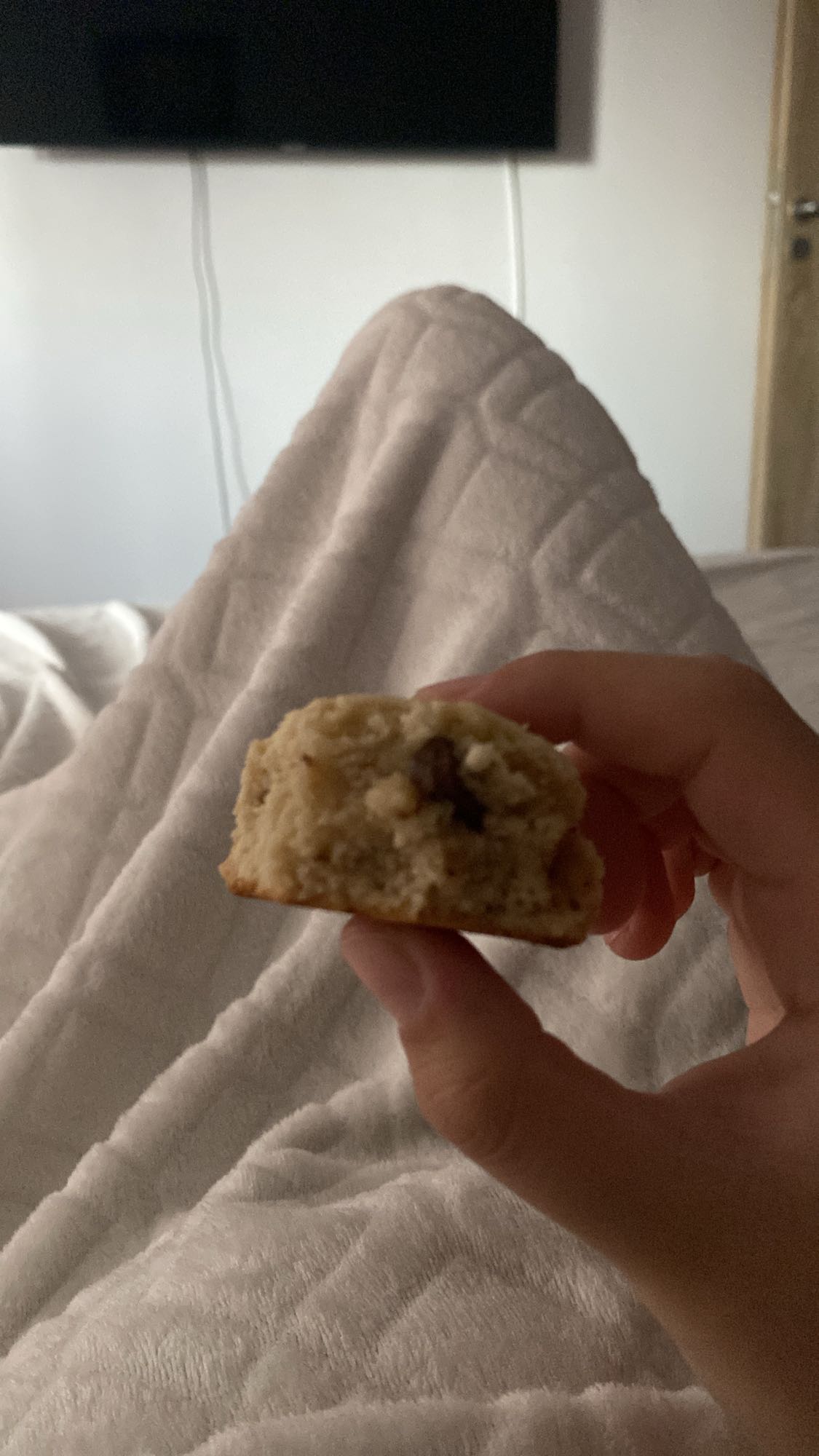 Biscuit cu ciocolată