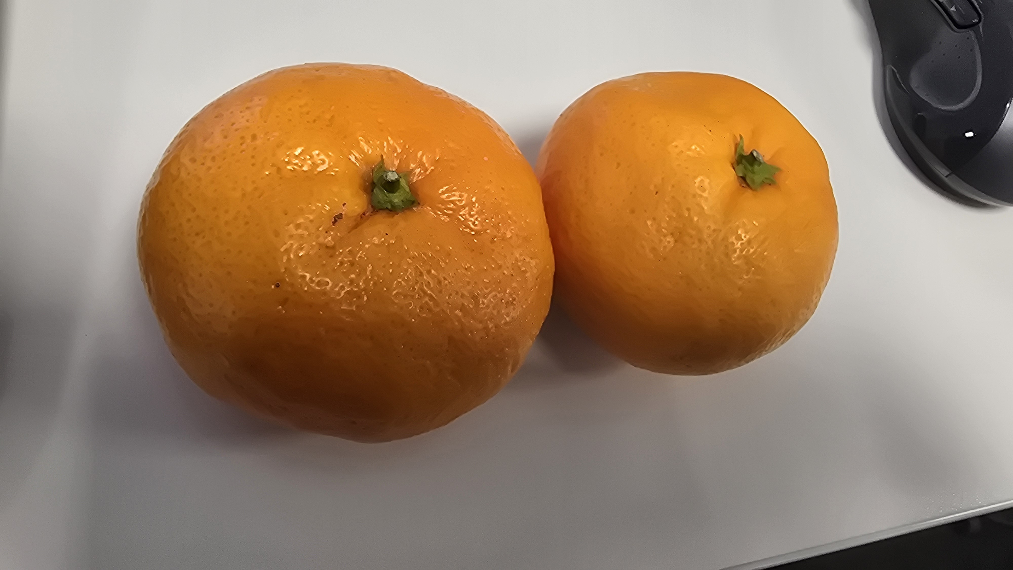 Two Mandarins