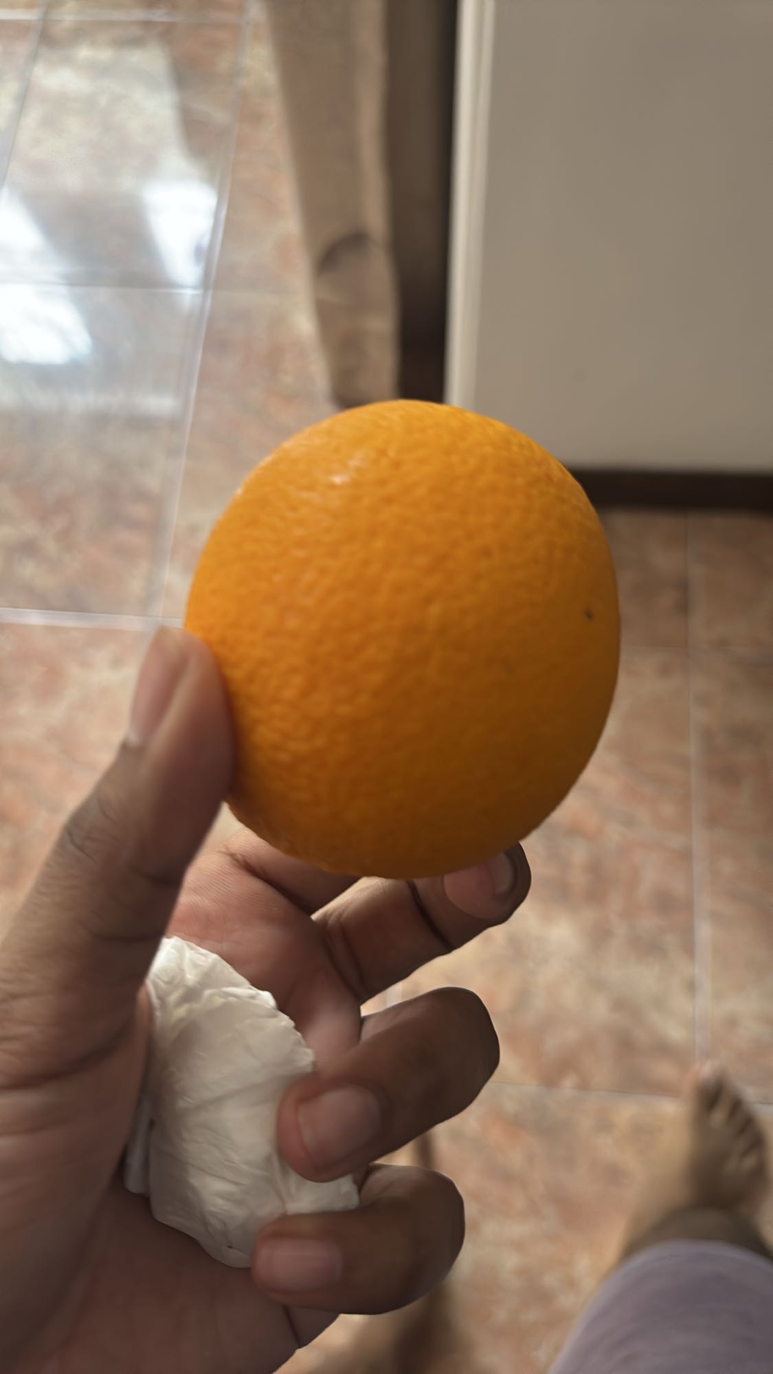Whole Orange Snack