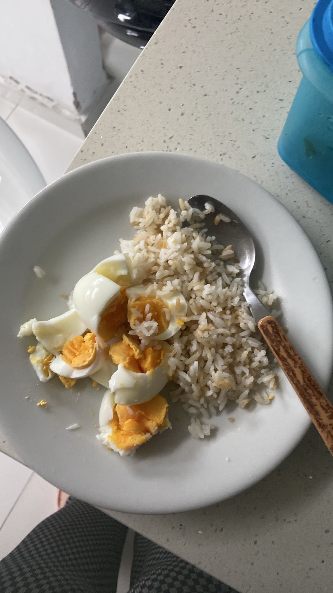 Egg and rice plate