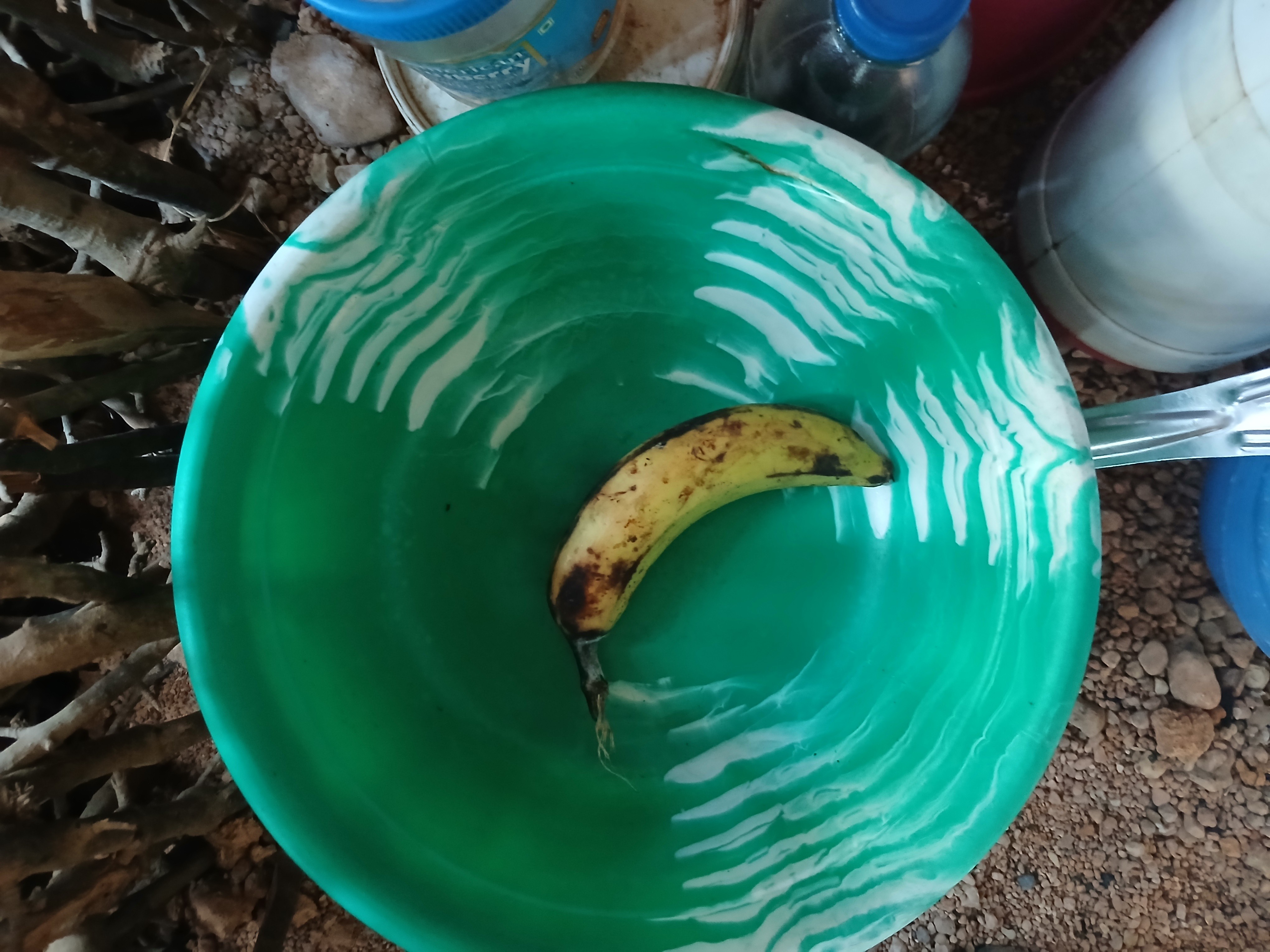 Single Banana