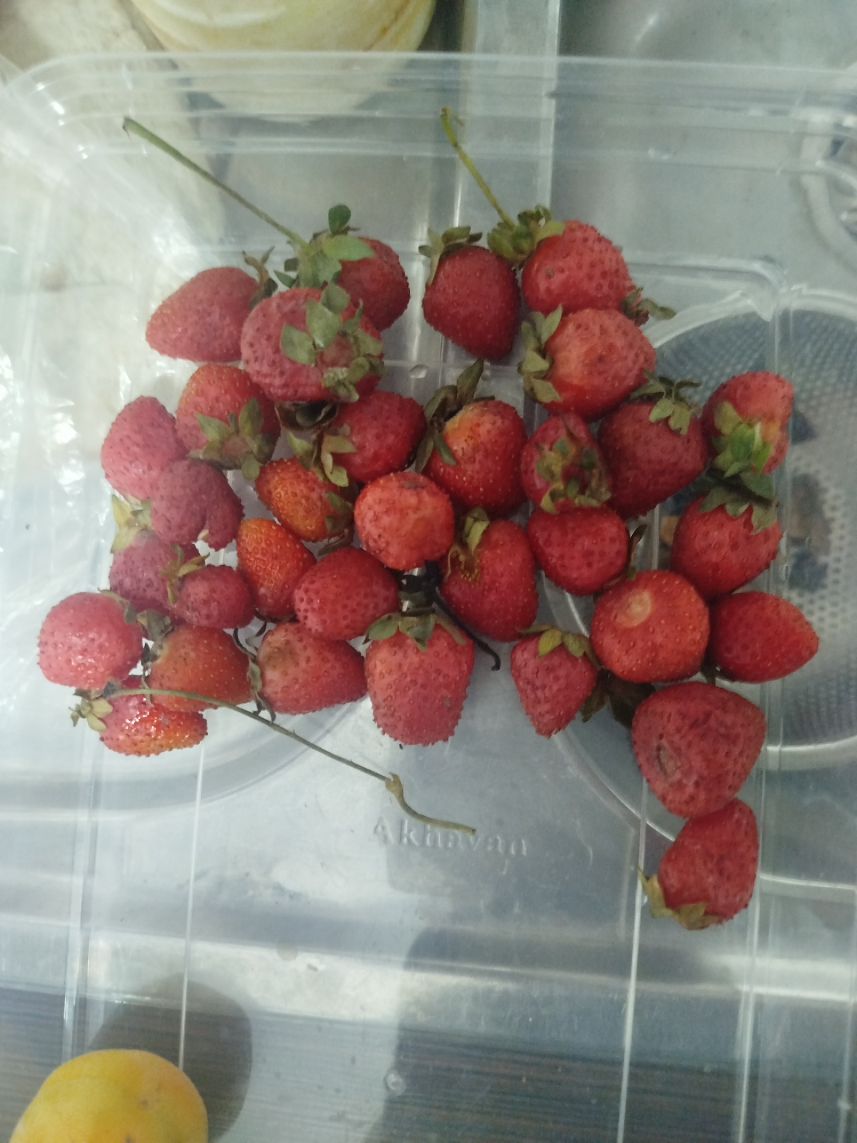 Fresh Strawberries