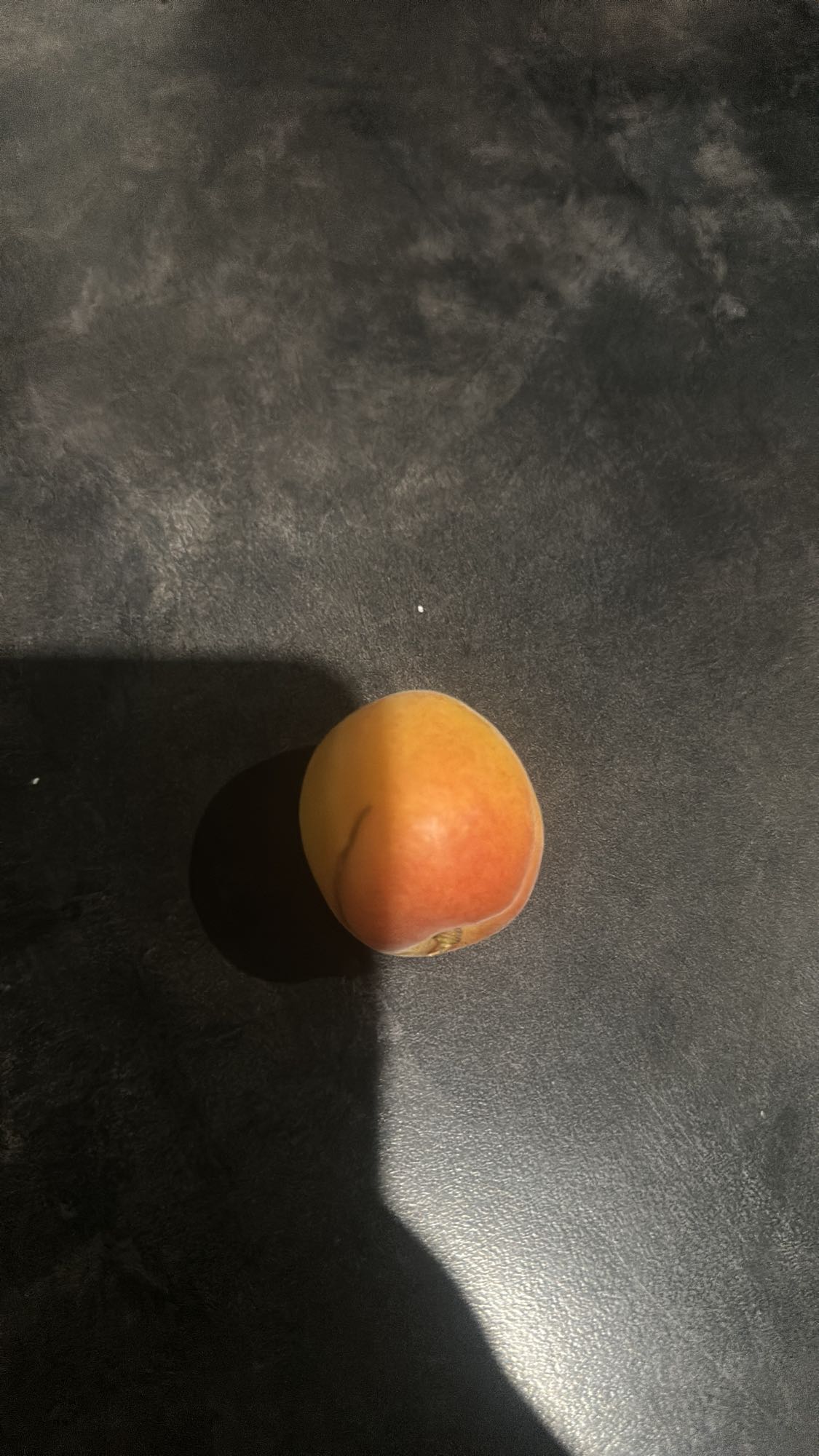 Single Apricot Snack