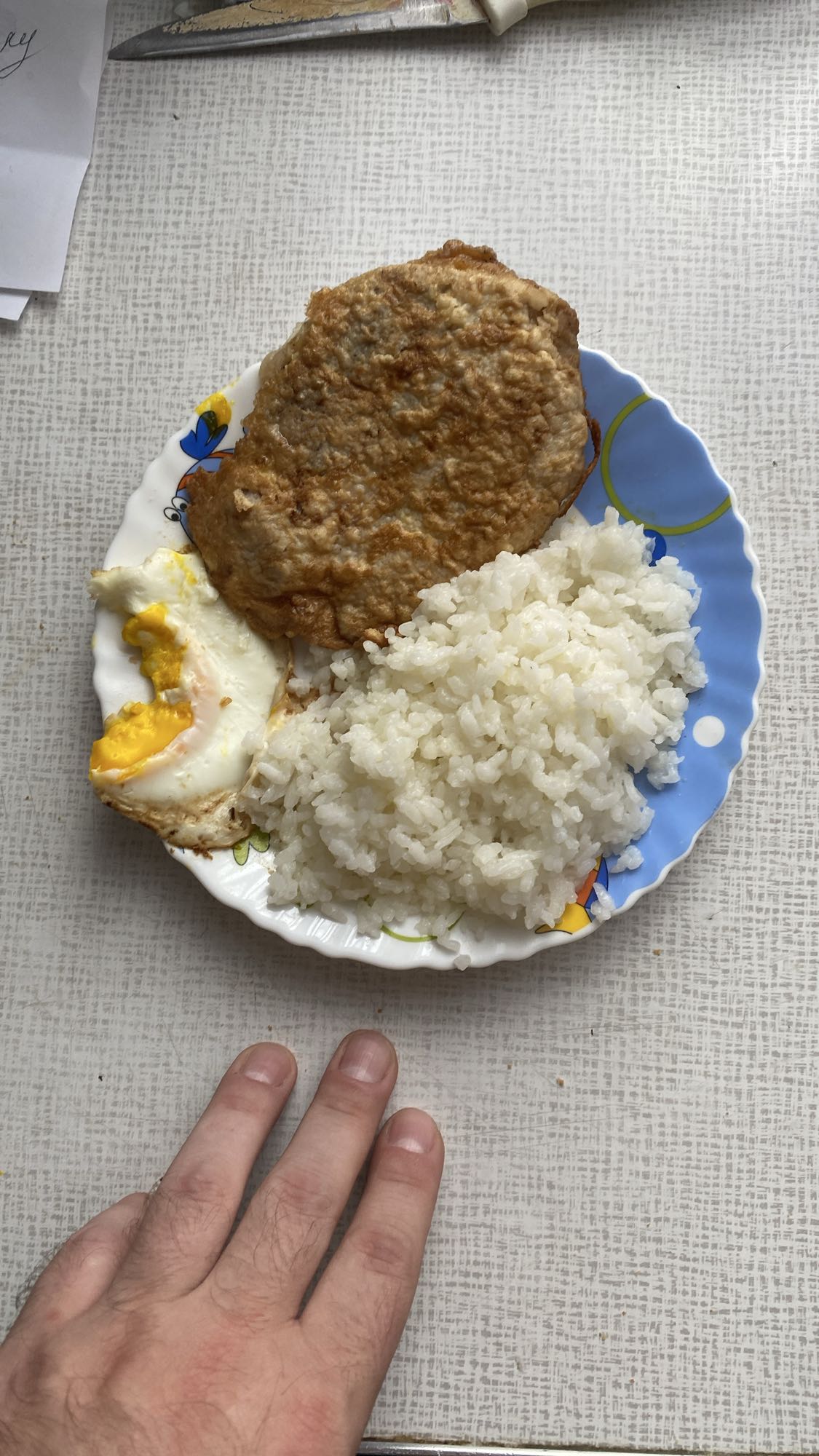 куриная отбивная с рисом и яйцом