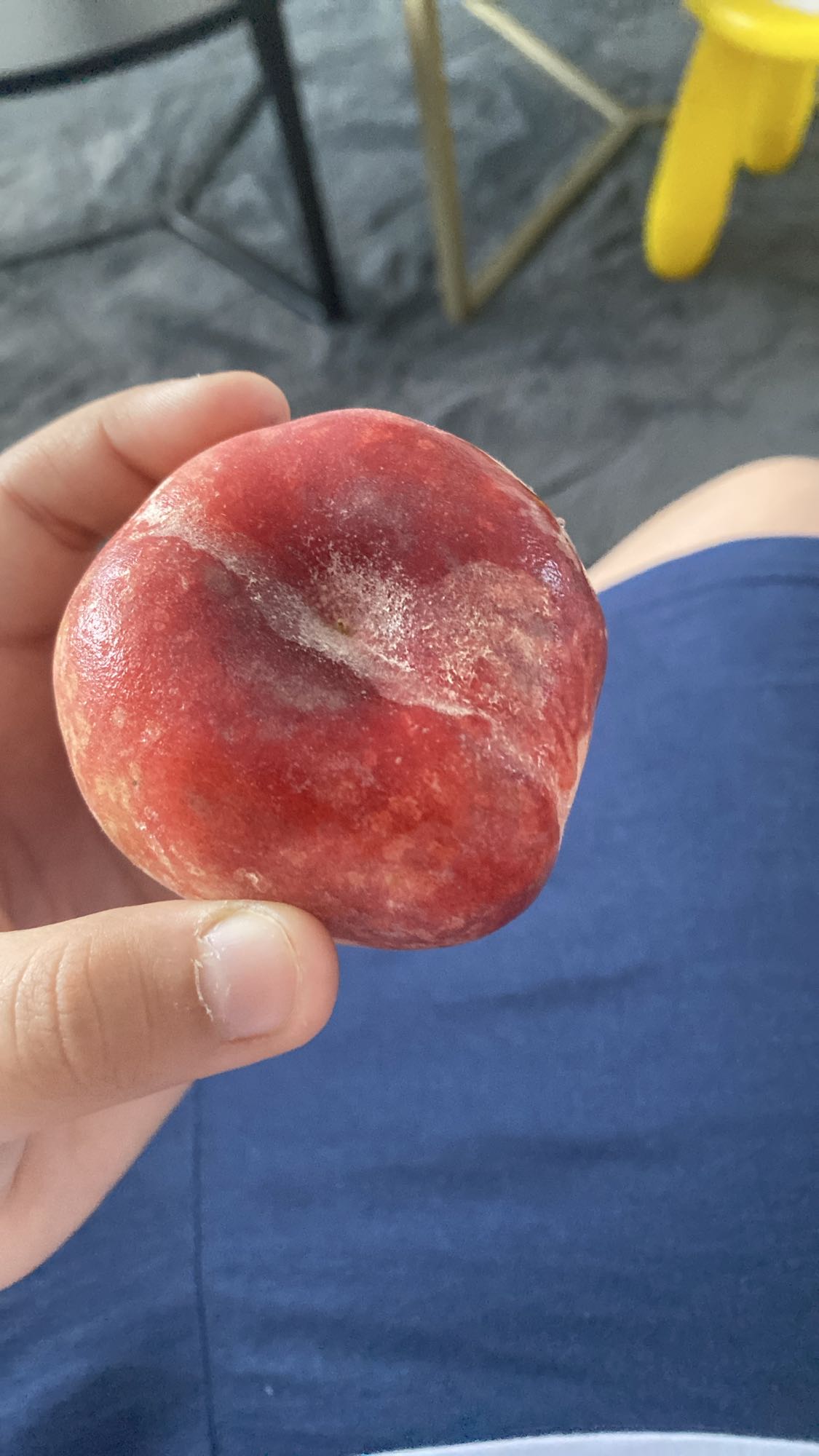 Nectarina proaspătă