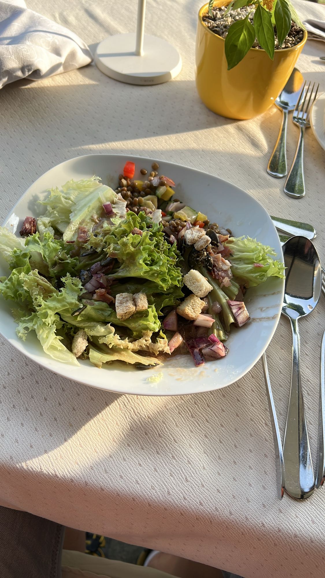 Gemischter Salatteller