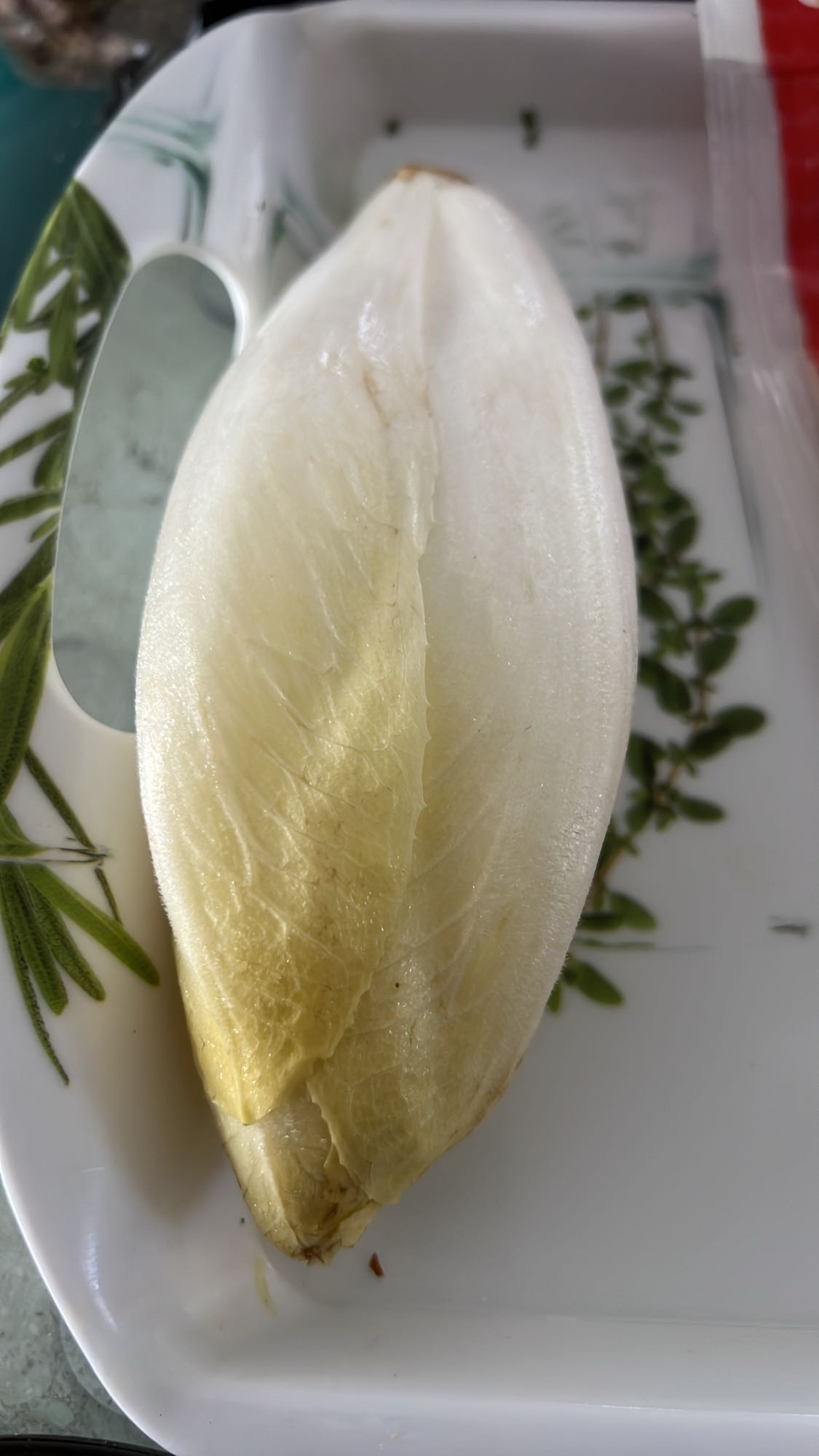 Endive fraîche