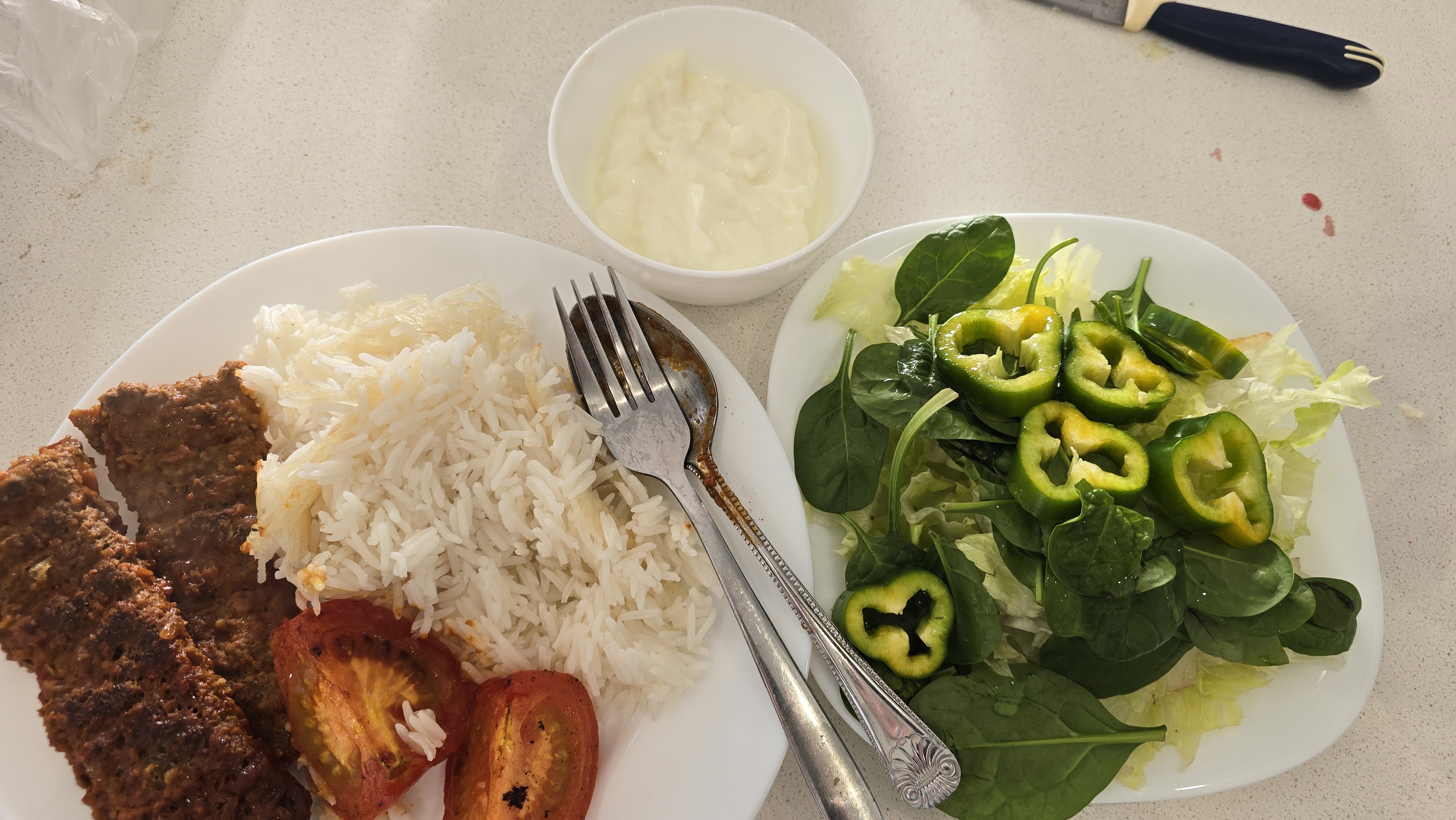 Kebab rice salad plate