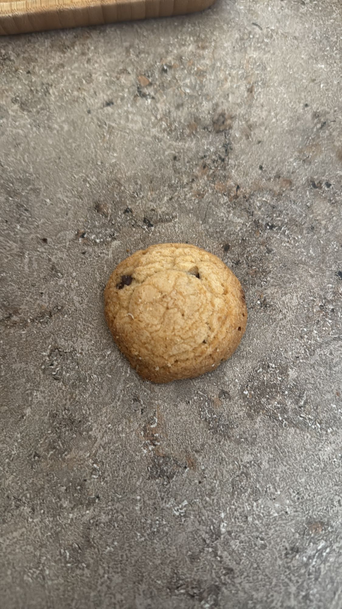 Chocolate chip cookie