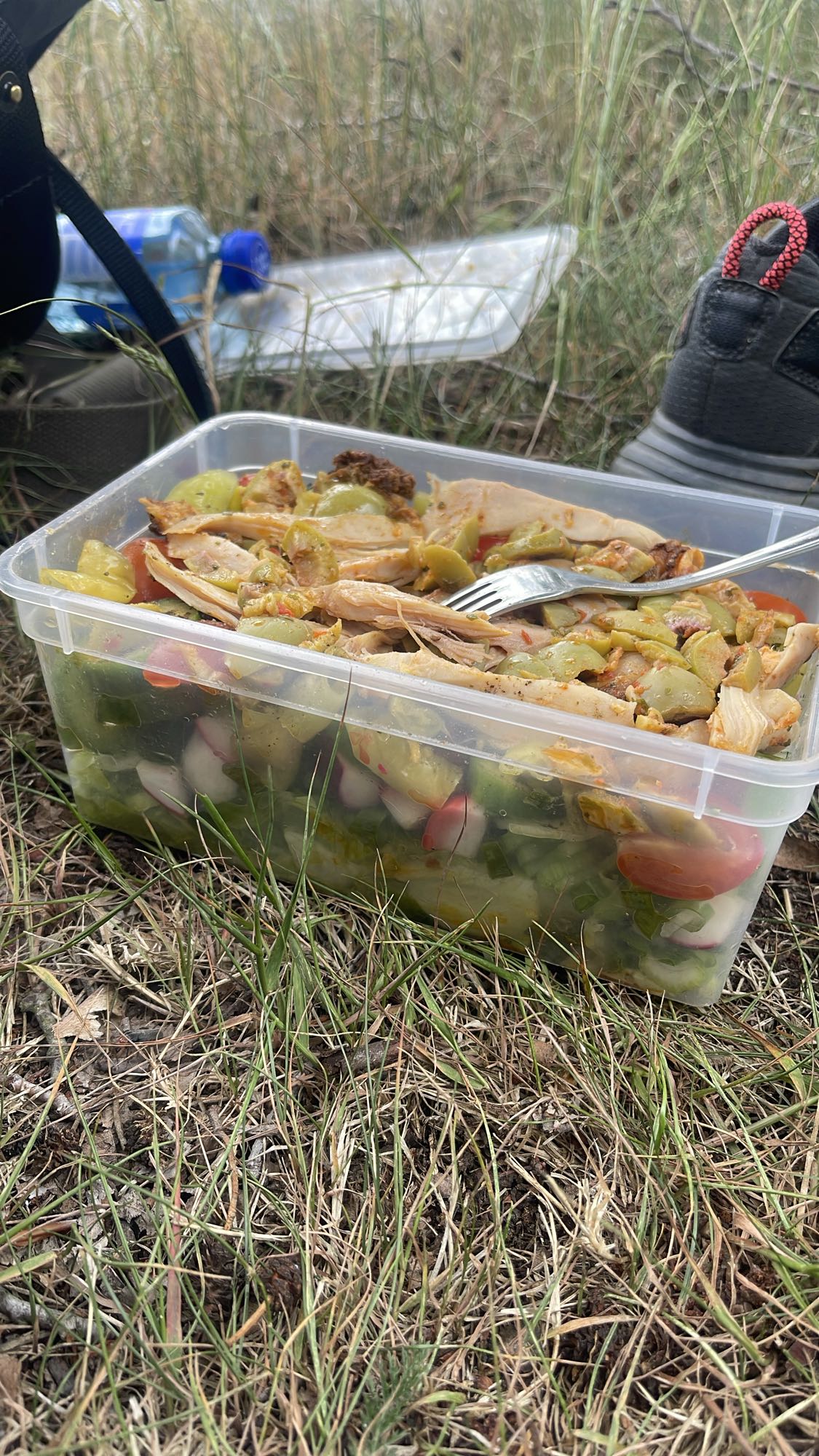 Kycklingsallad utomhus