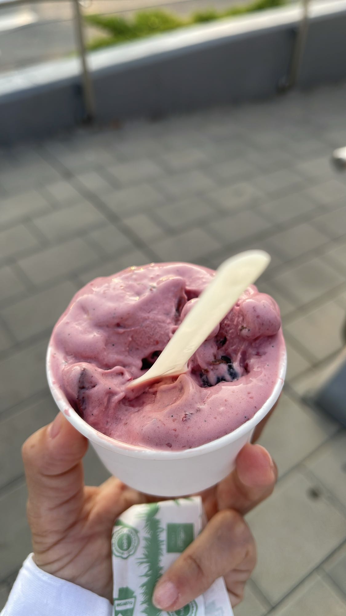 Înghețată cu fructe de pădure