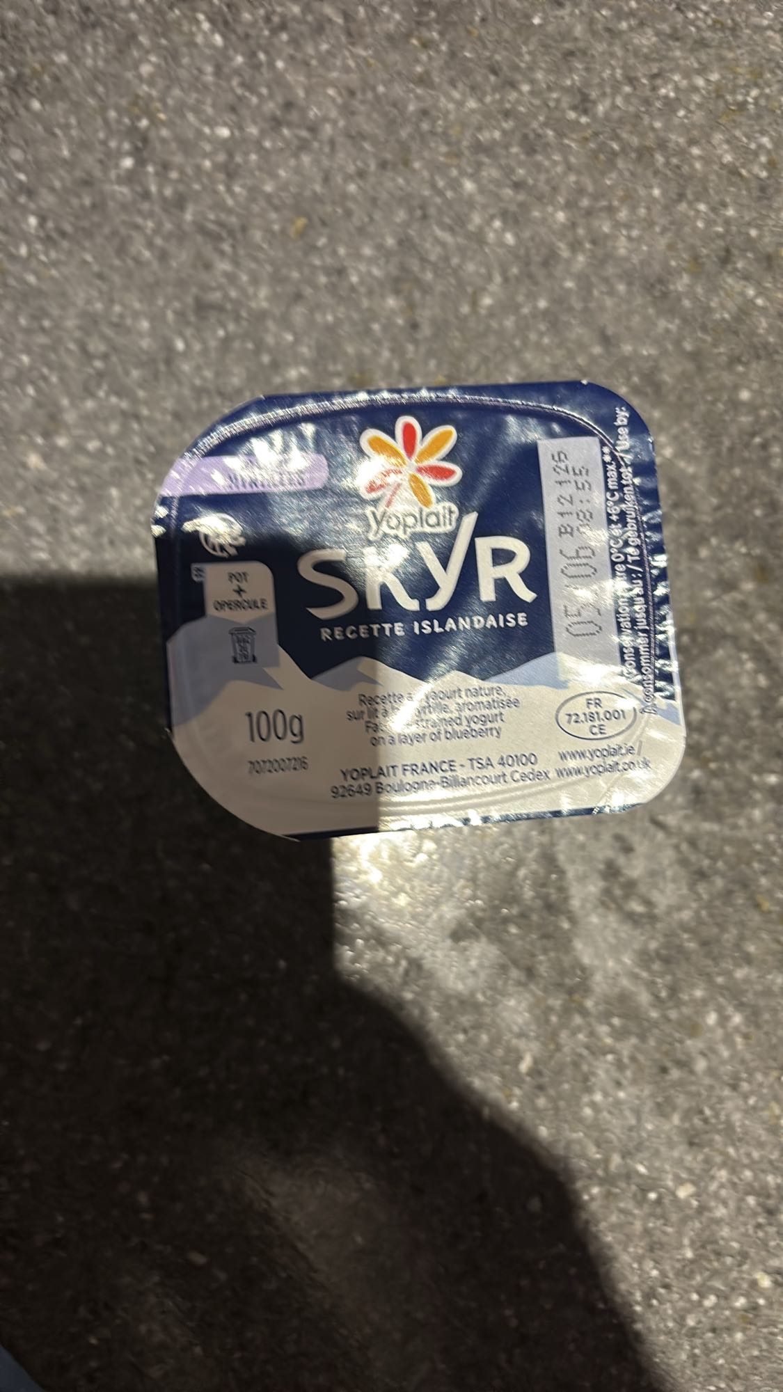 Skyr myrtille 100g