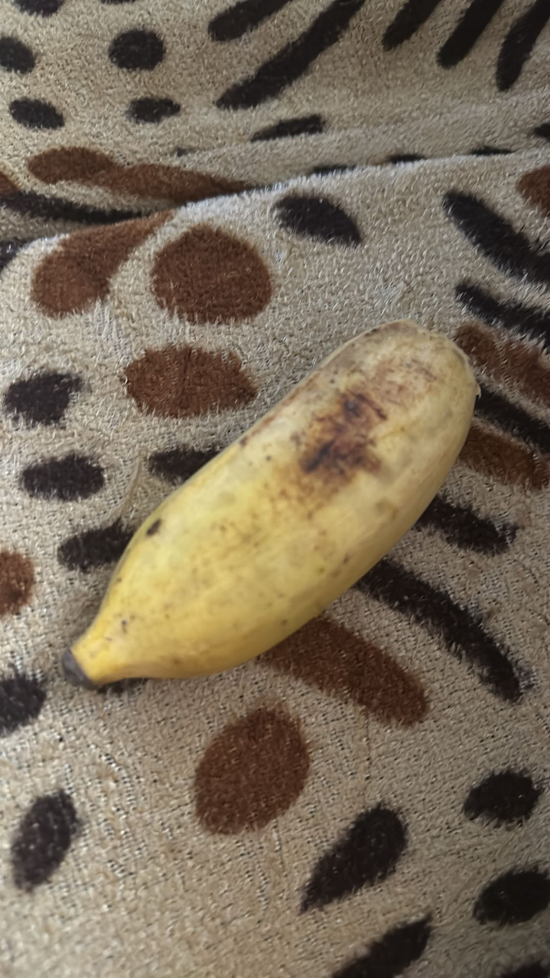 Single Banana