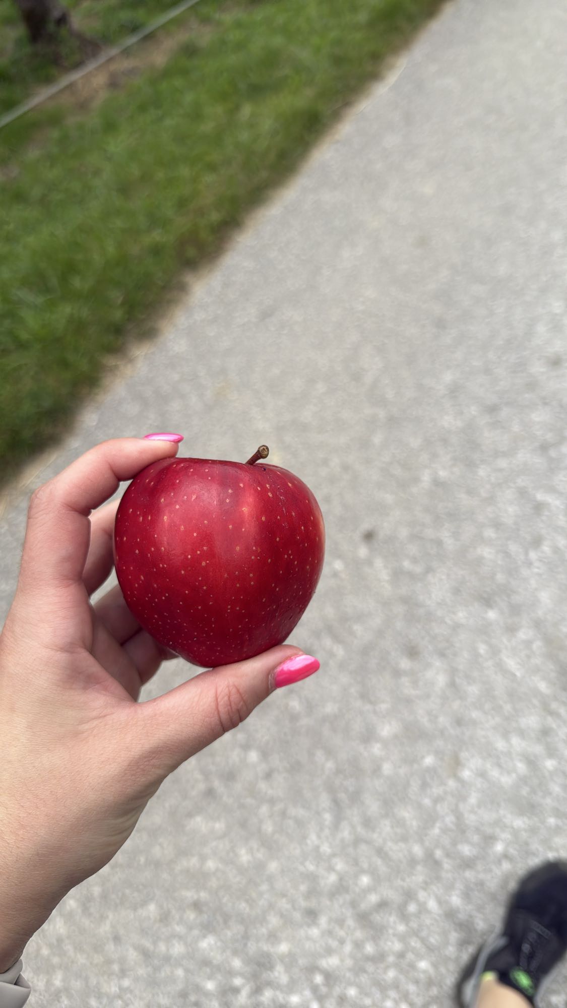 Red Apple Snack