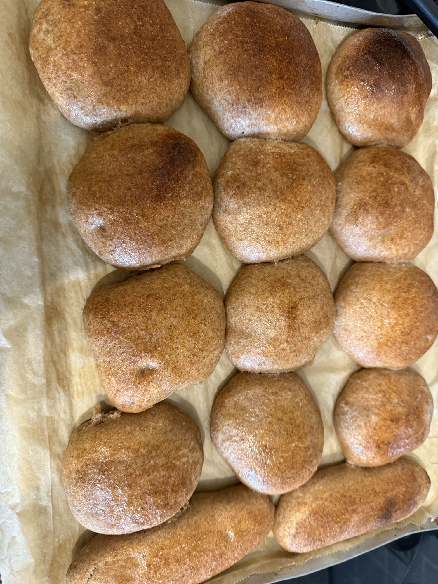 Volkorenbroodjes